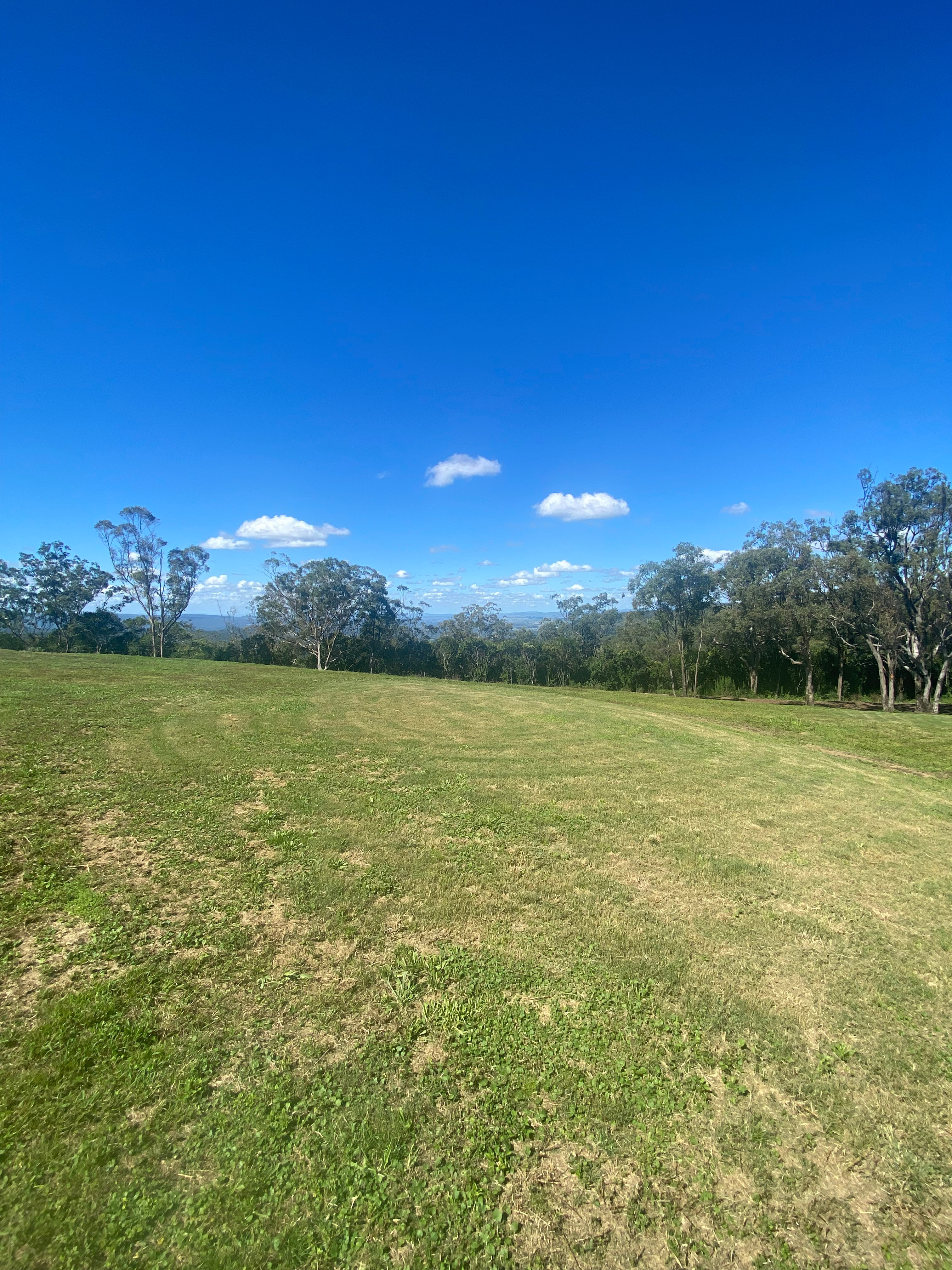 Site 1 - smaller site 