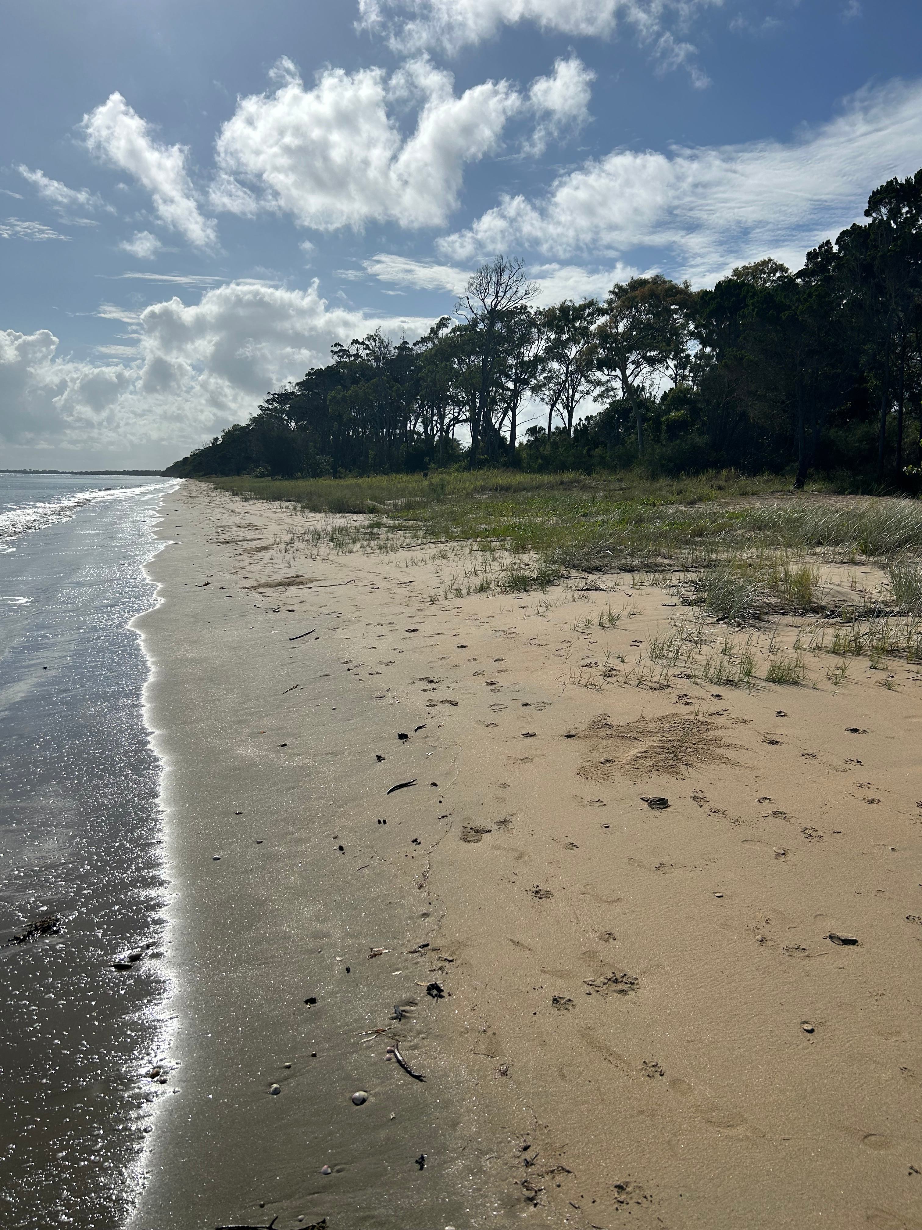 how about an  afternoon stroll on our  nearby beach I am sure your  fur baby would  like that