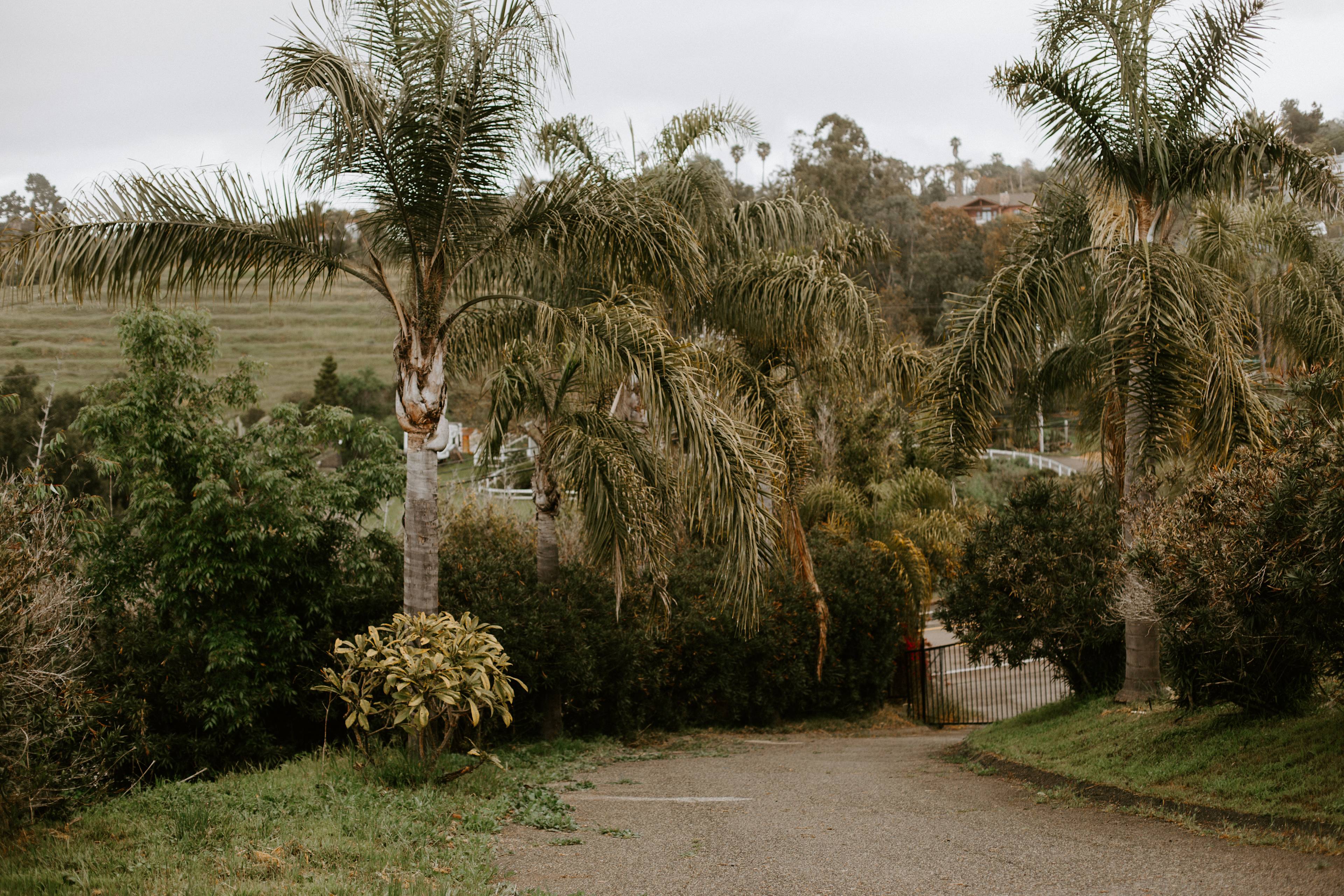 Gated driveway, off the road.