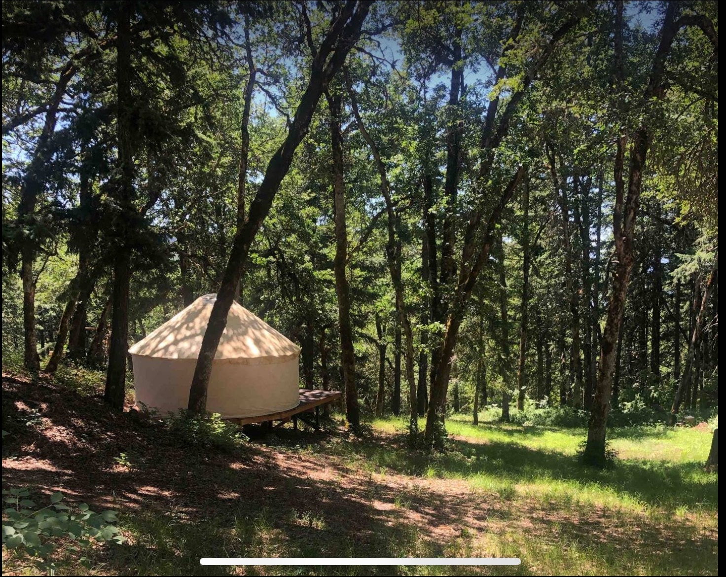Yurt camp near White Salmon
