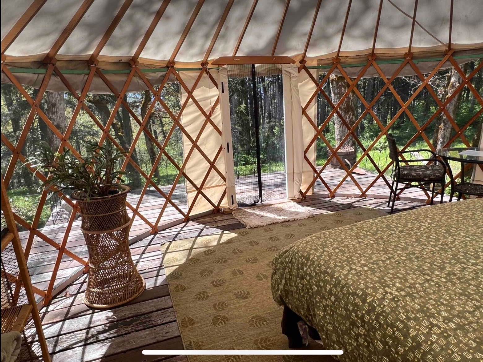 Yurt camp near White Salmon