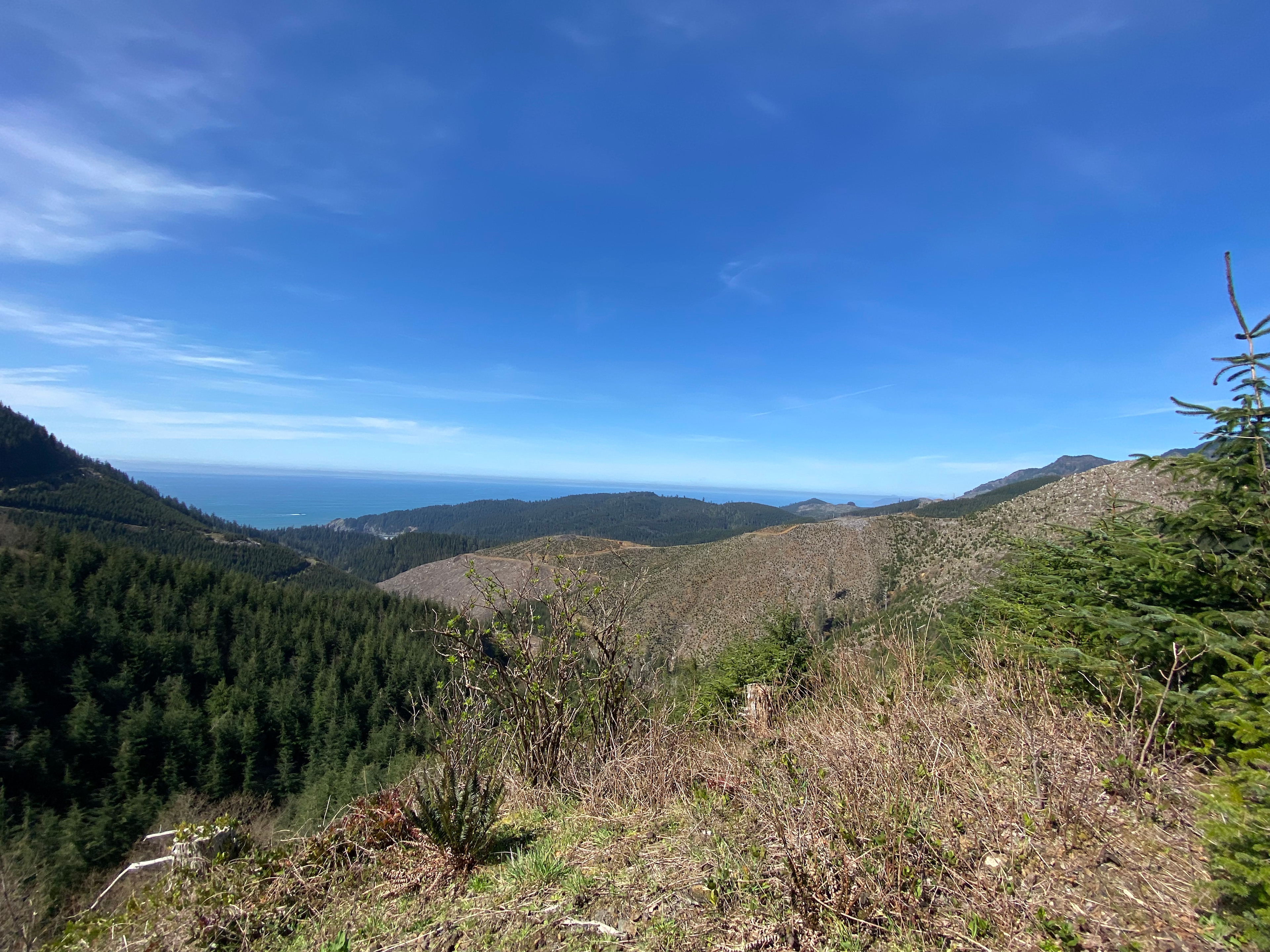 Timber Ridge Ranch @ Falcon Cove