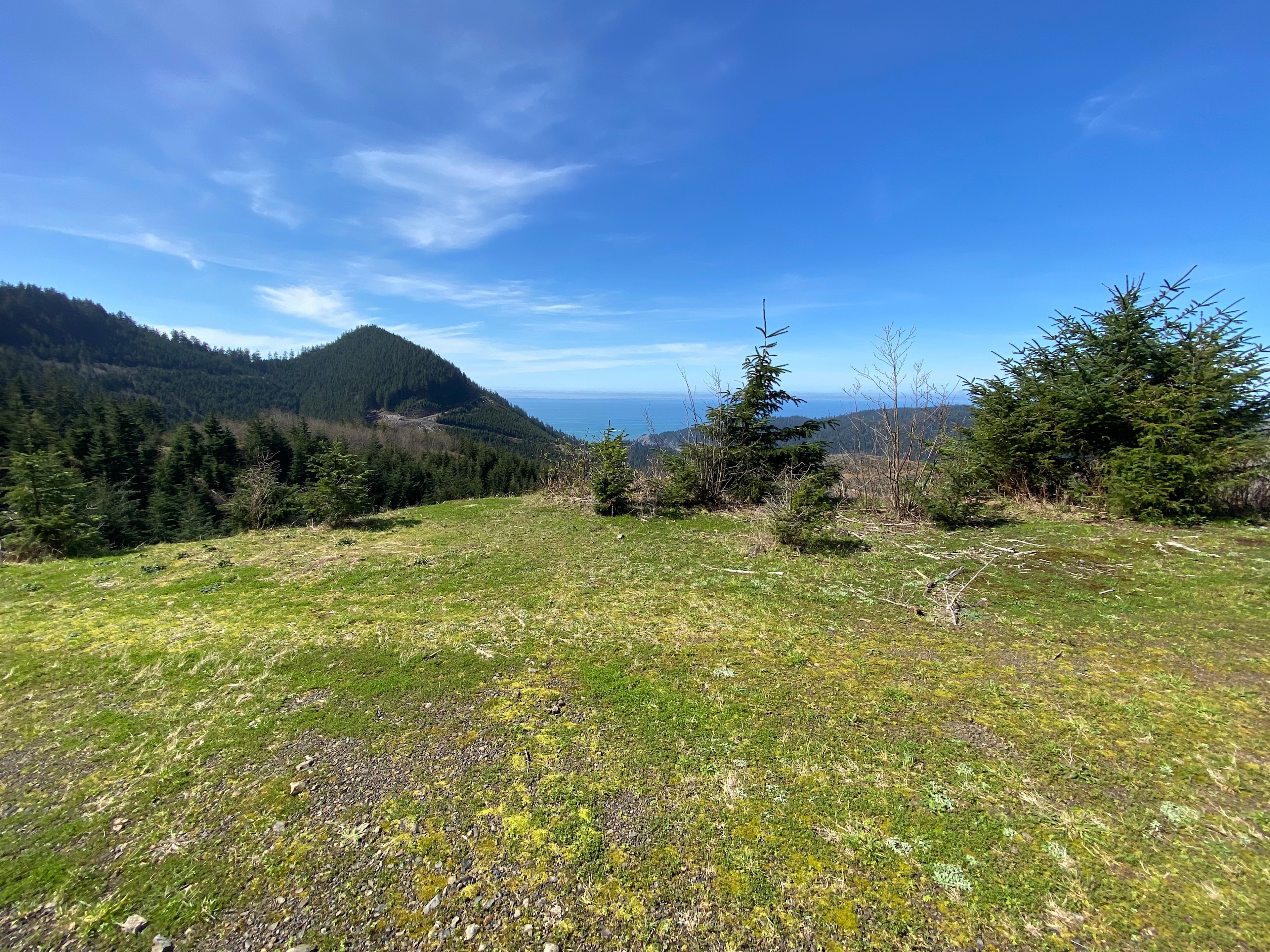 Timber Ridge Ranch @ Falcon Cove