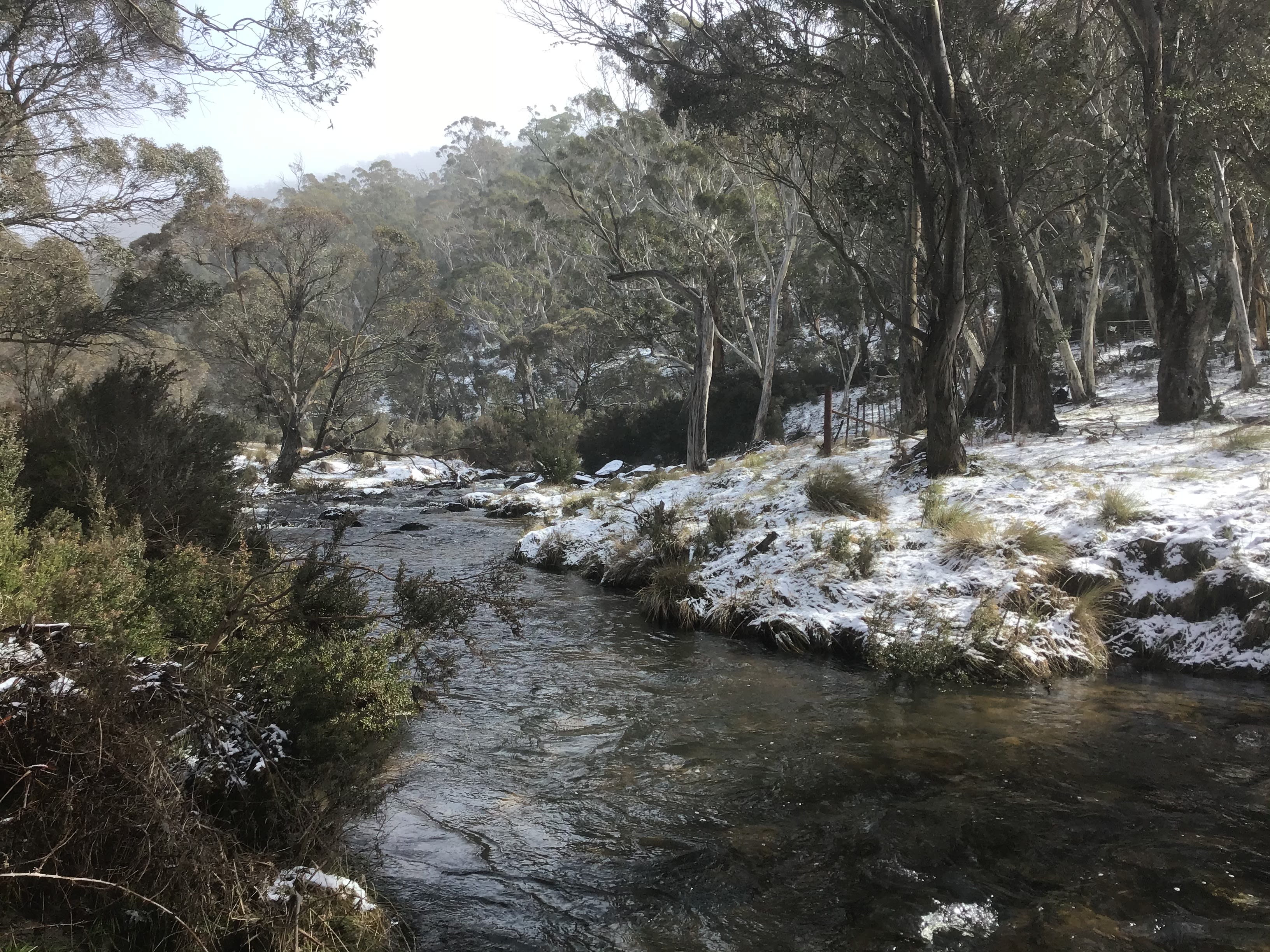 Bigyard Hipcamp where ...