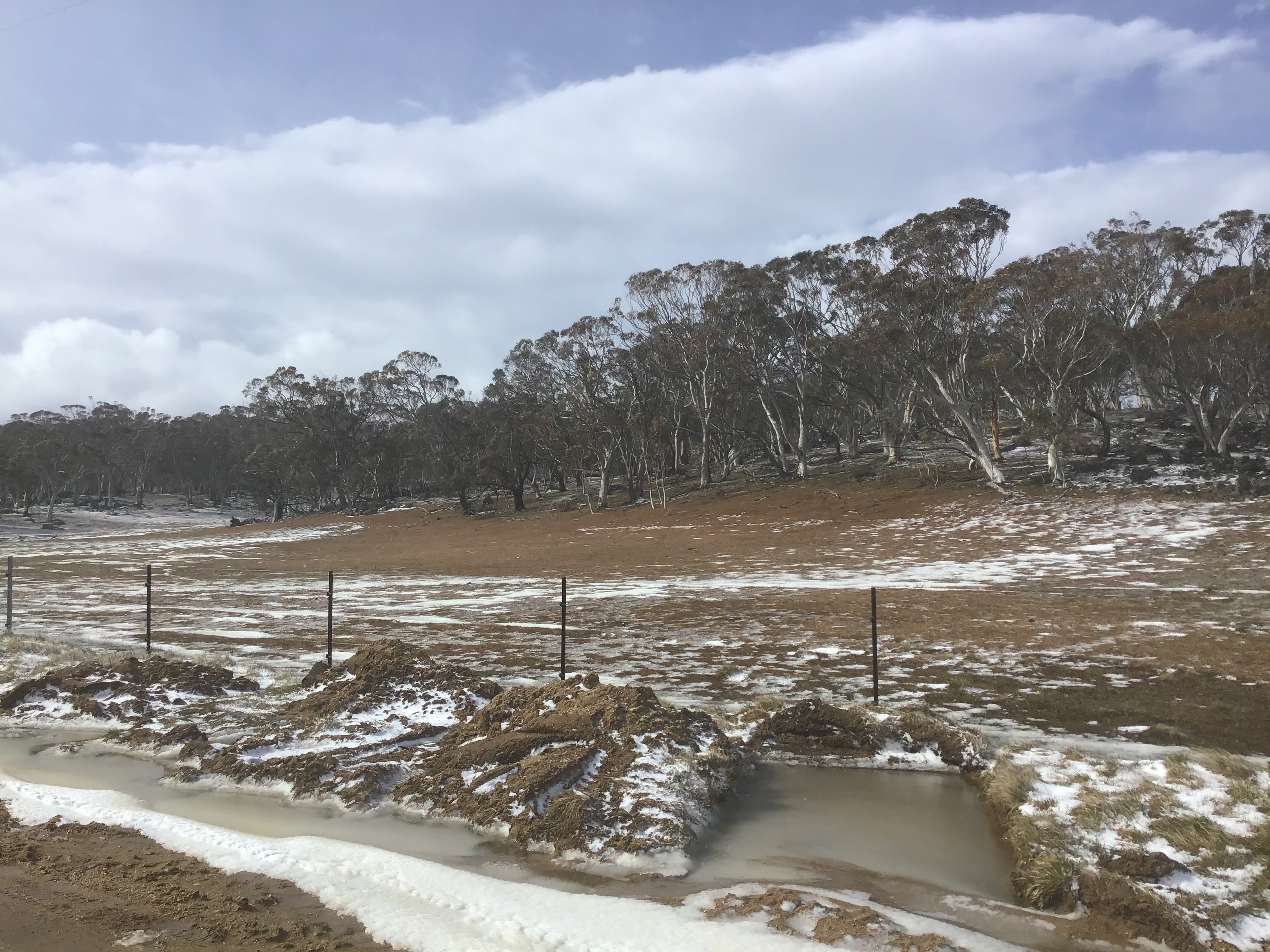 Bigyard Hipcamp where ...