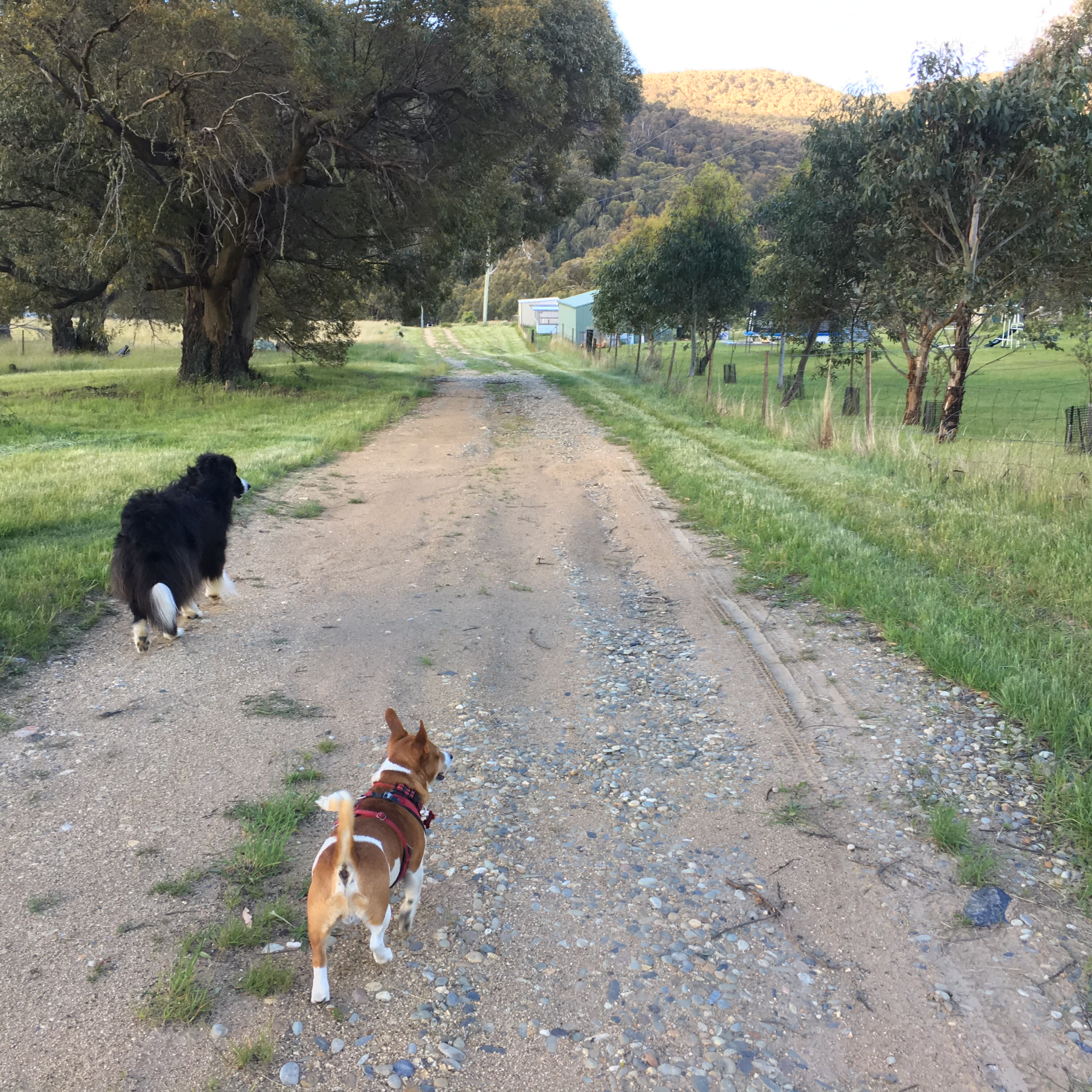 Bigyard Hipcamp where ...