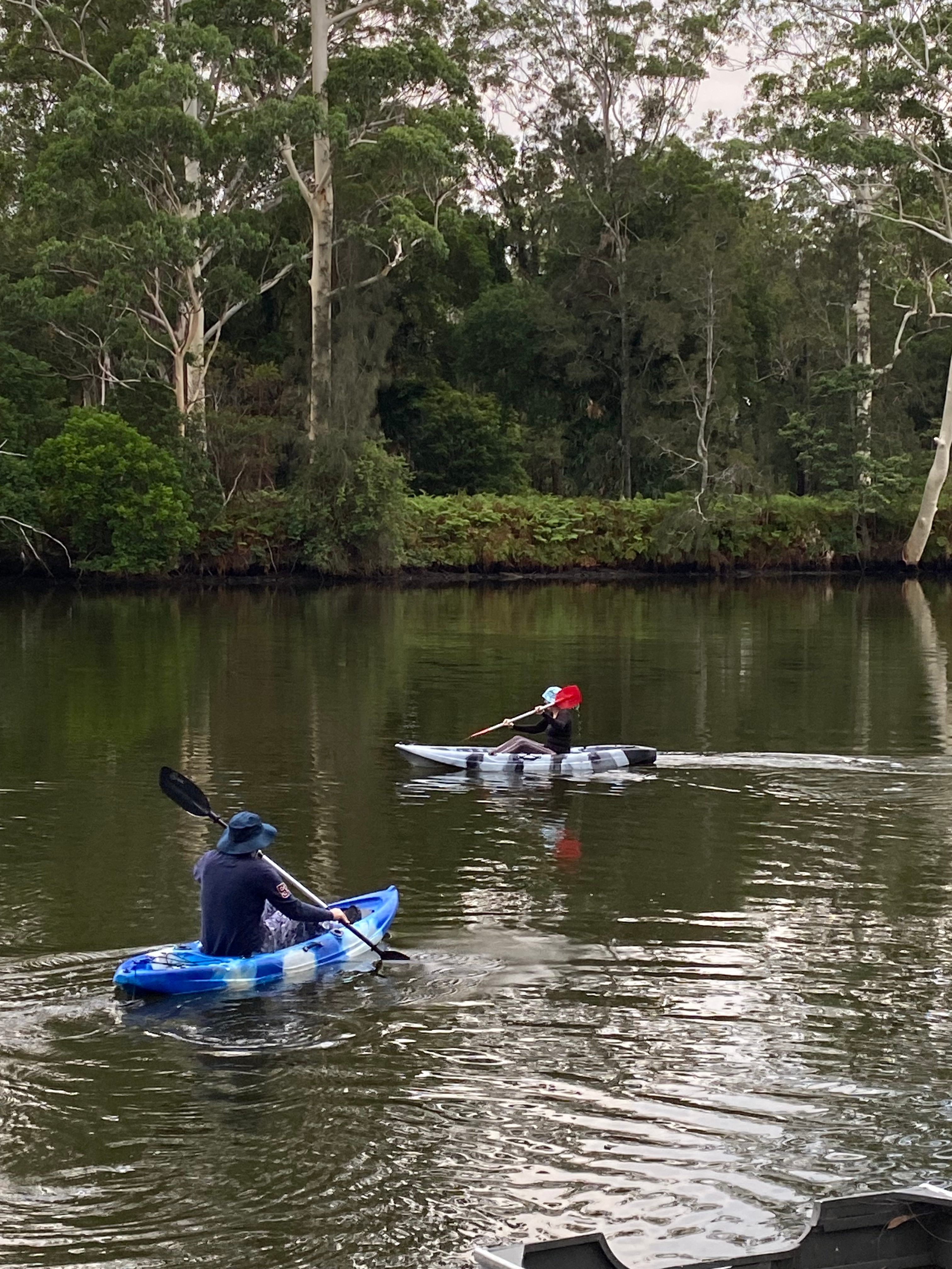 Riverside at Riverdance Nabiac