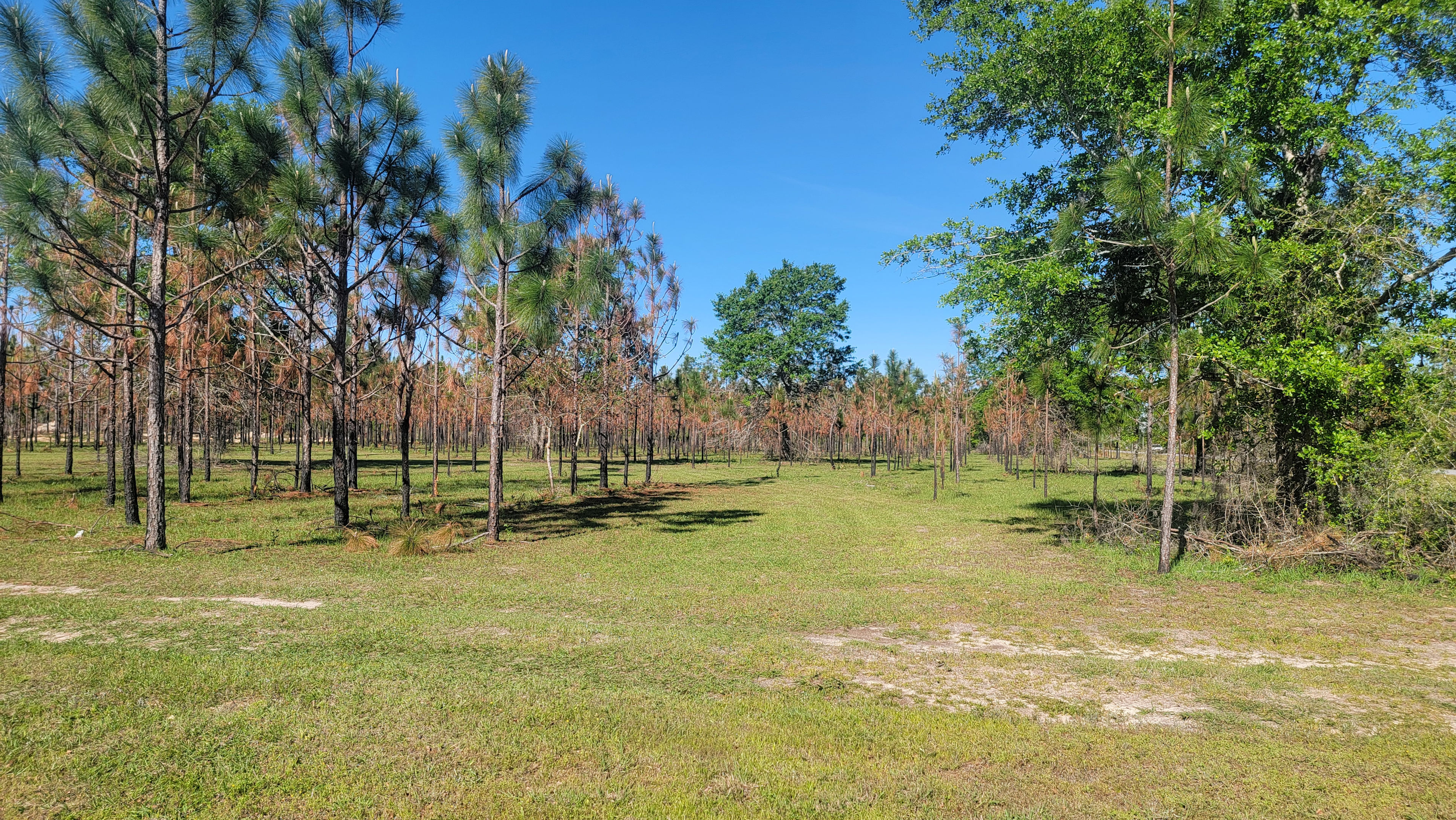 Additional privimtive camping area