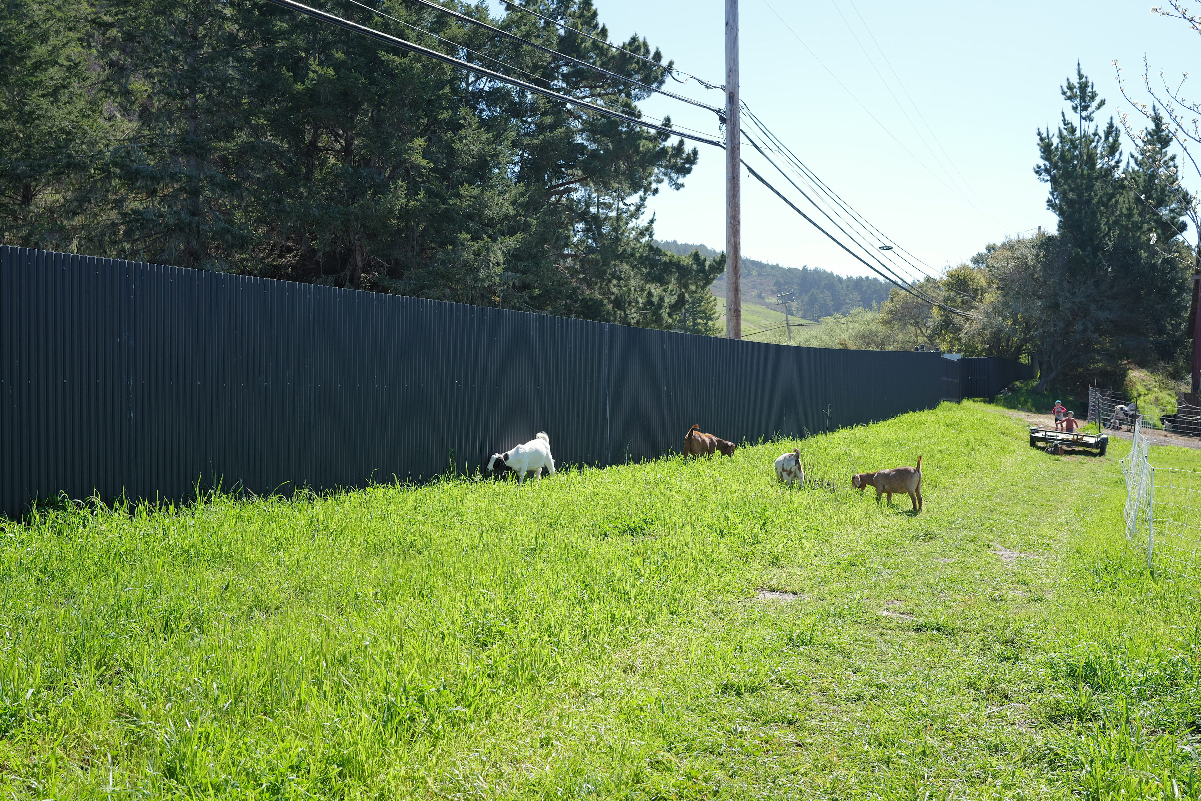 Gro 4 Gold Plant Studio