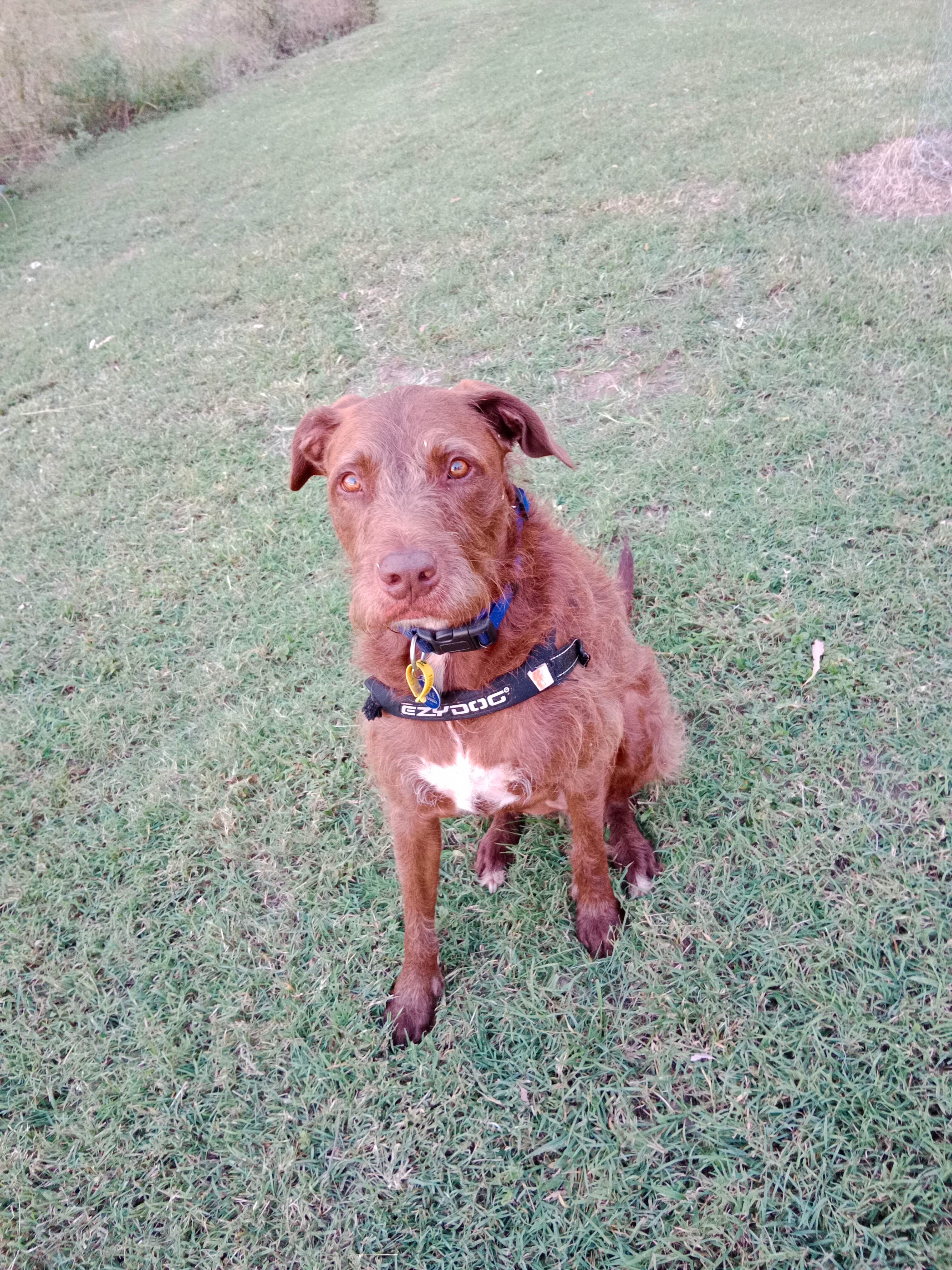 ‘Em ‘N’ Jay Farmstay