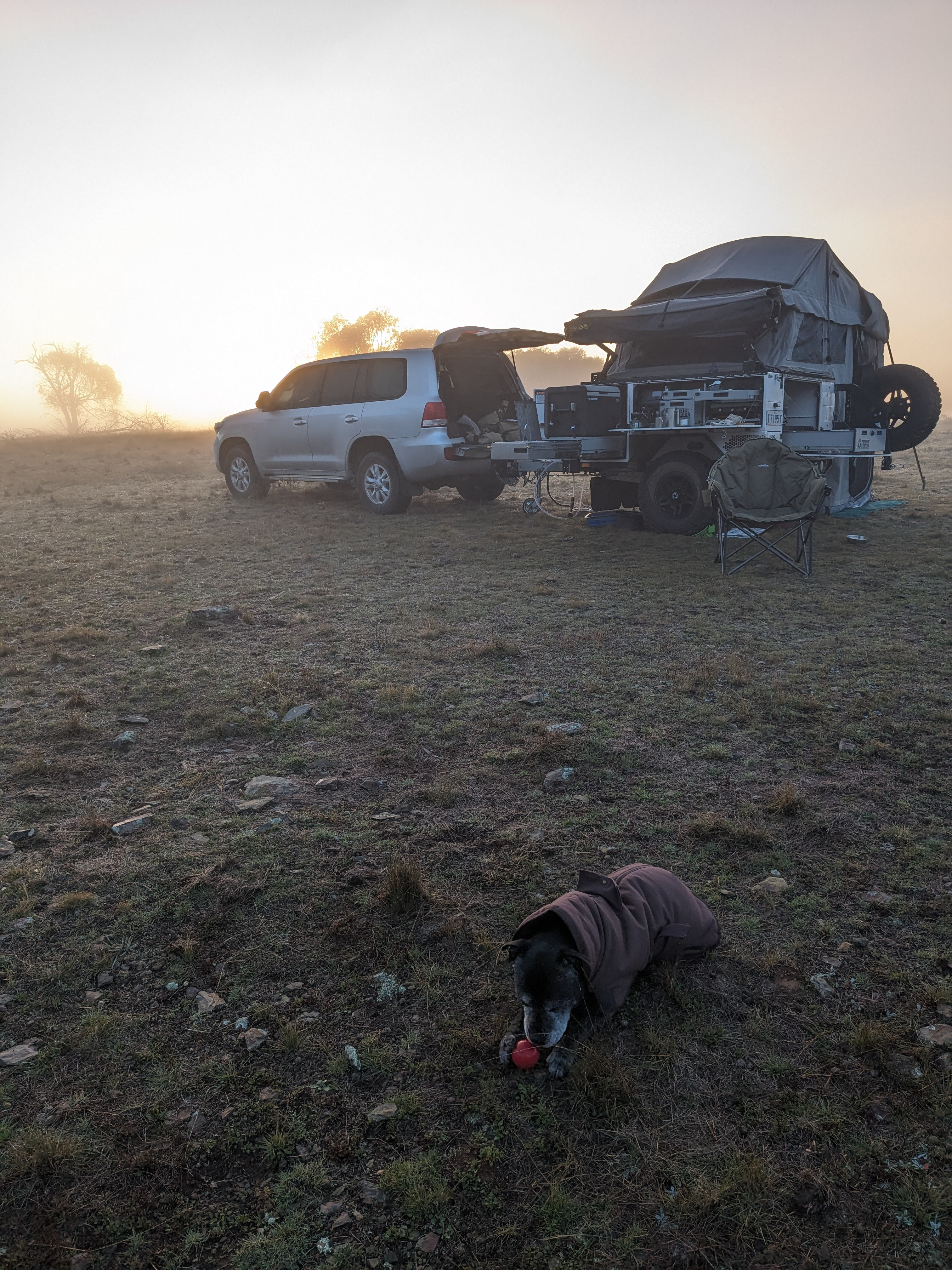 Wombat Pines - Glamping and Camping
