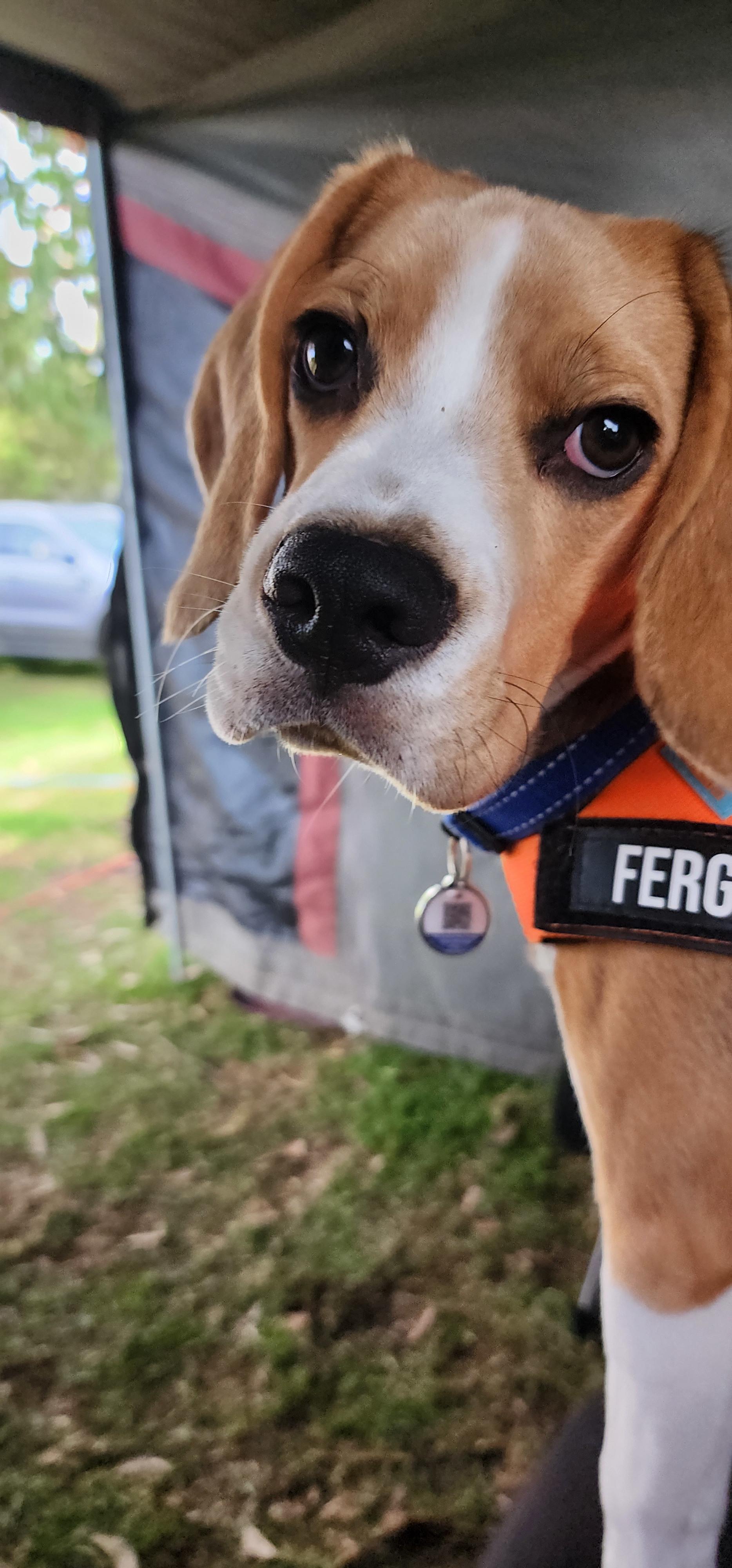 BIG4 Wilsons Prom Holiday Park