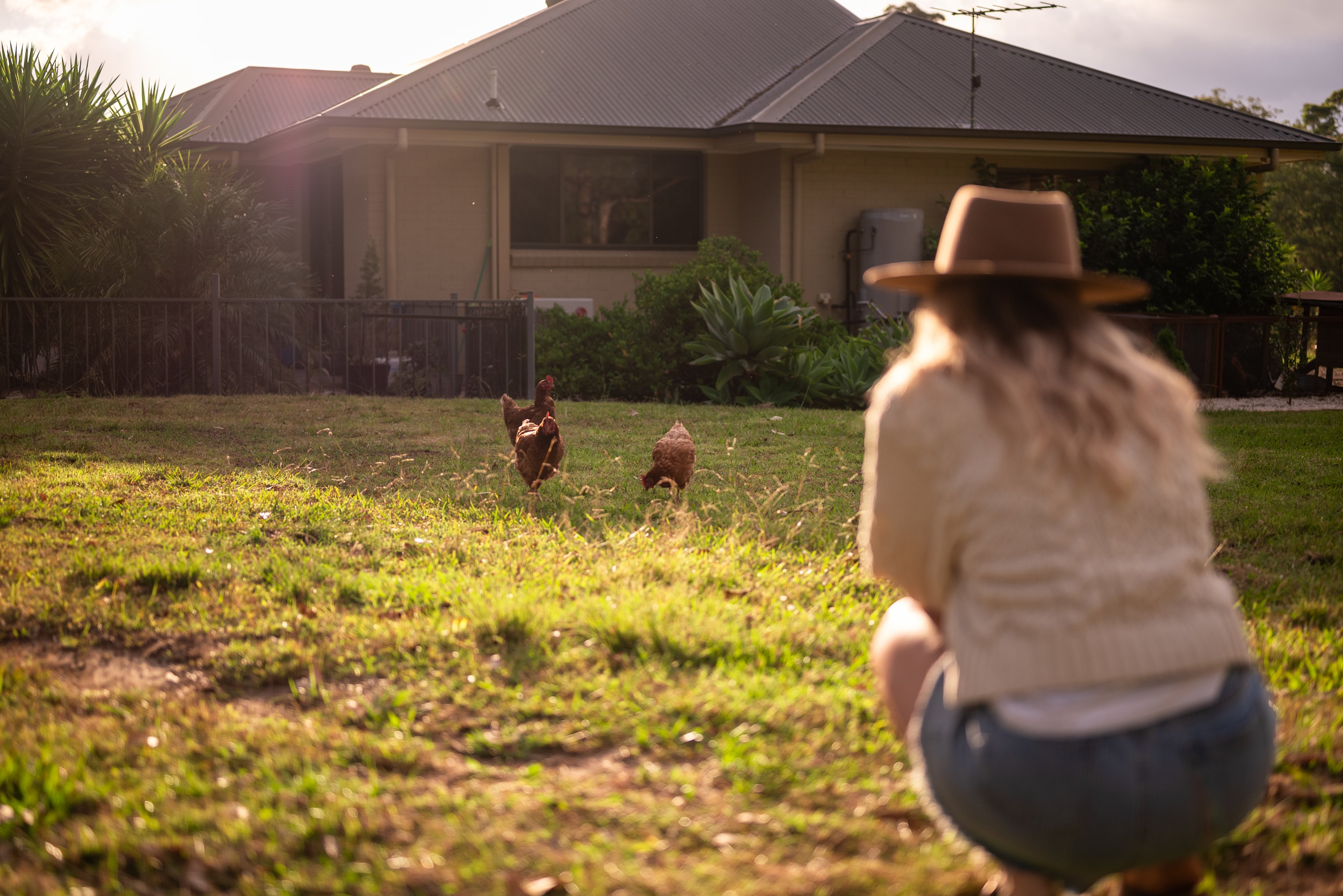 Little chickens run around the property too! 