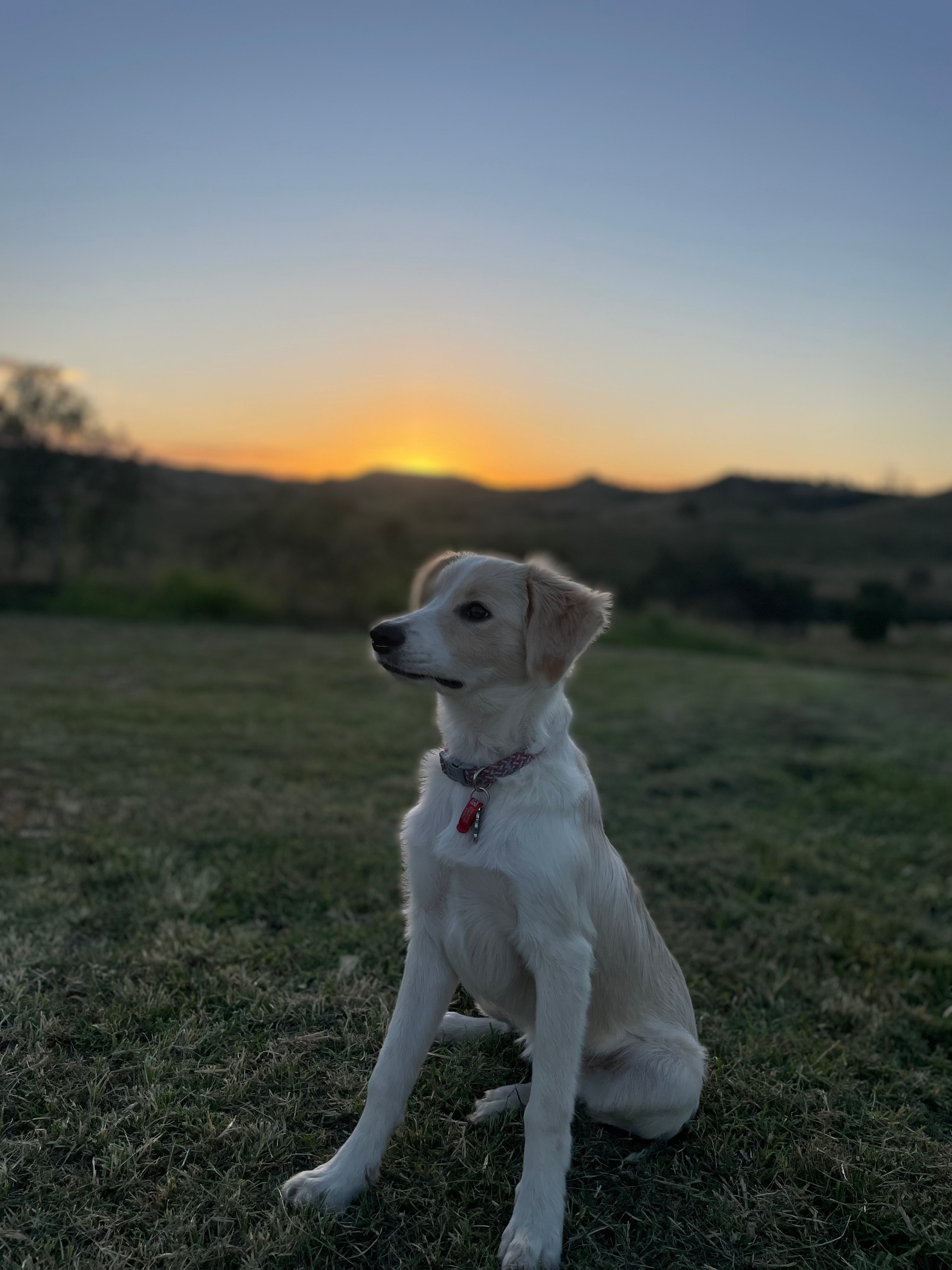 Deborah’s coalCreek Pottery+Camping