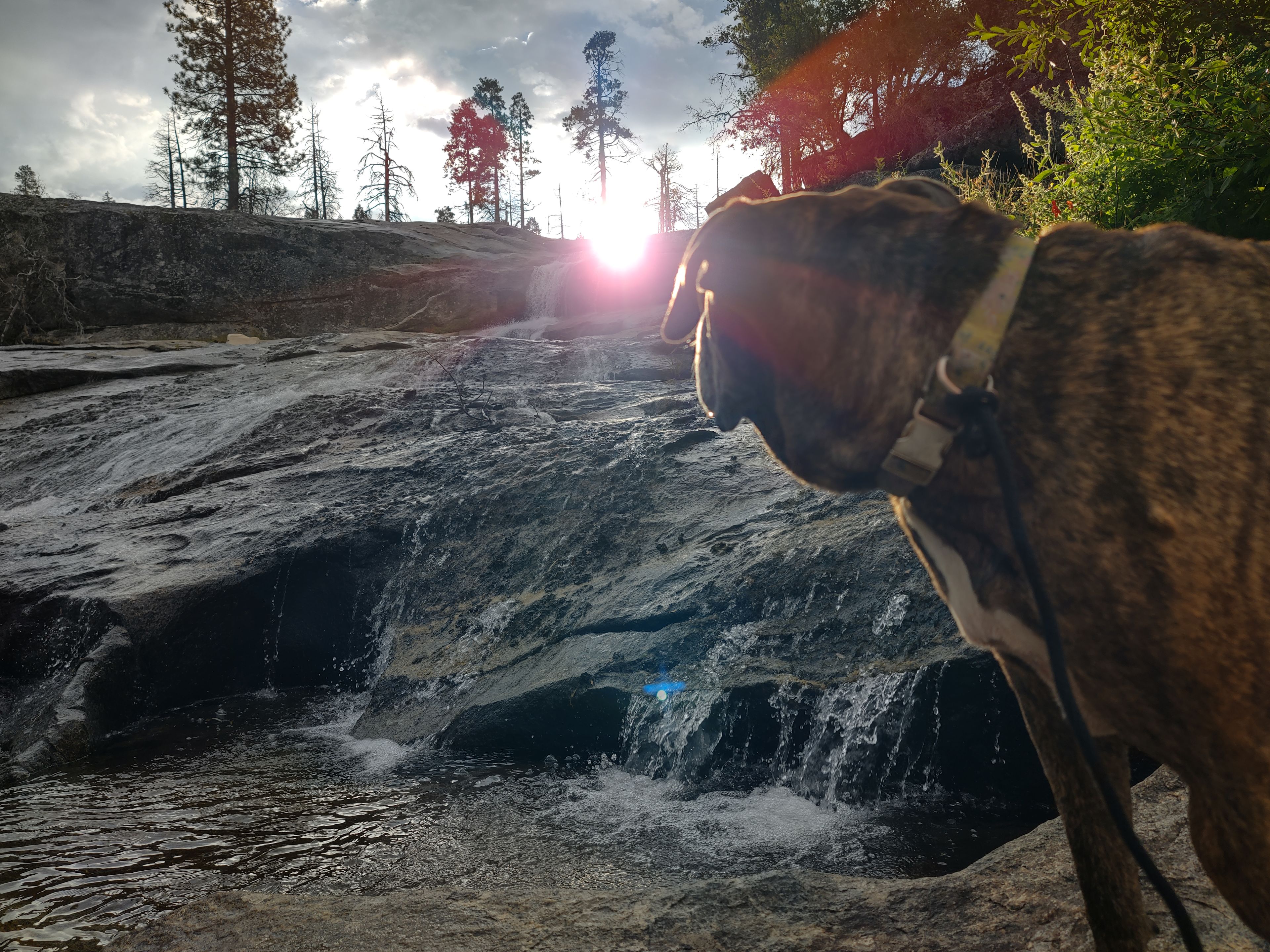Musick Creek Falls  by Shaver Lake
