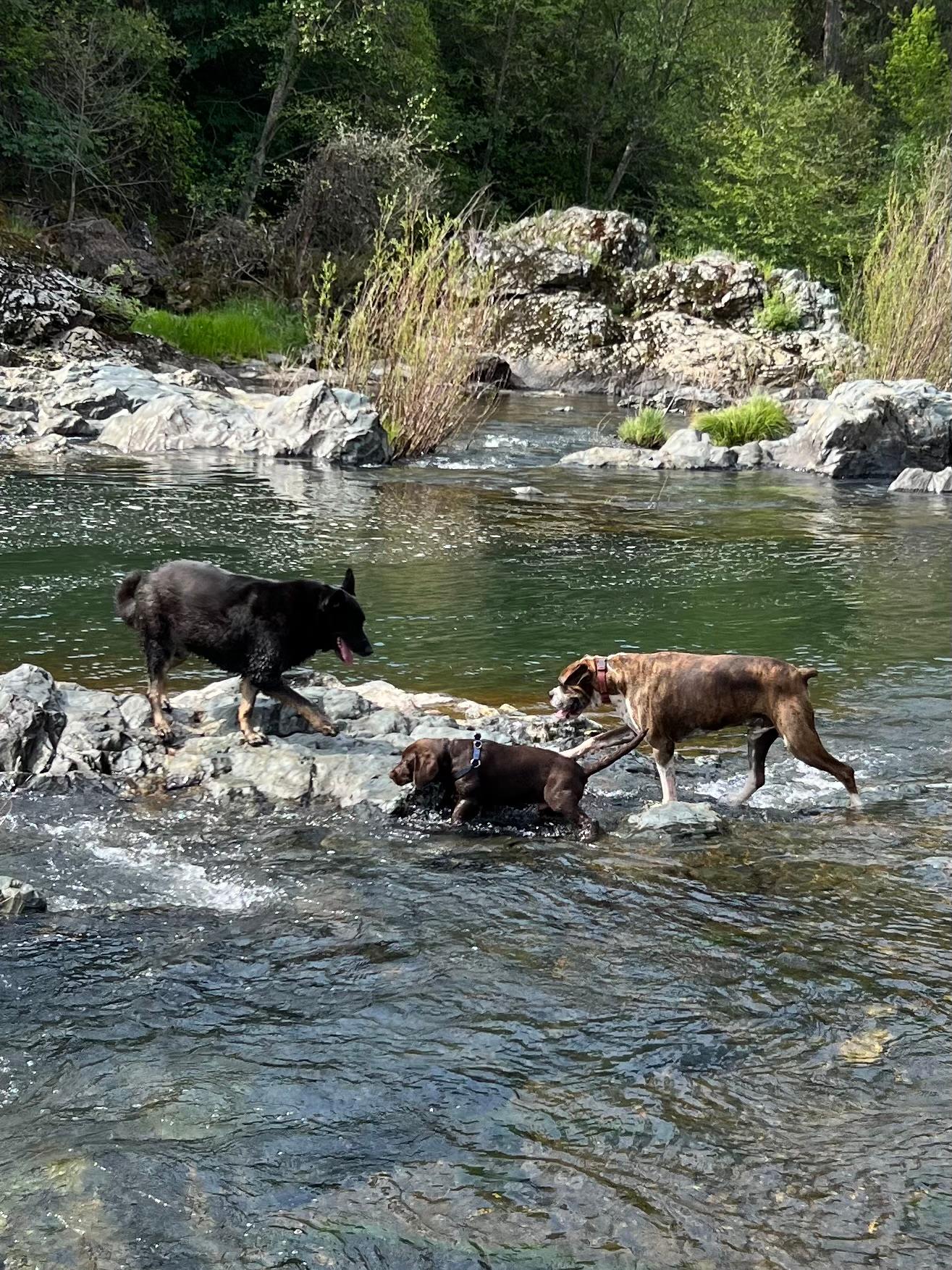 Perfect Getaway with Private Creeks