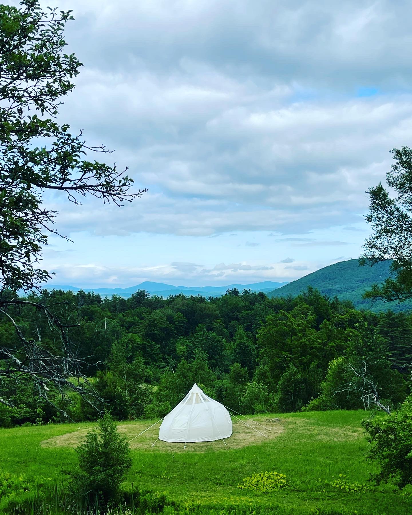 Wild Woods Ranch