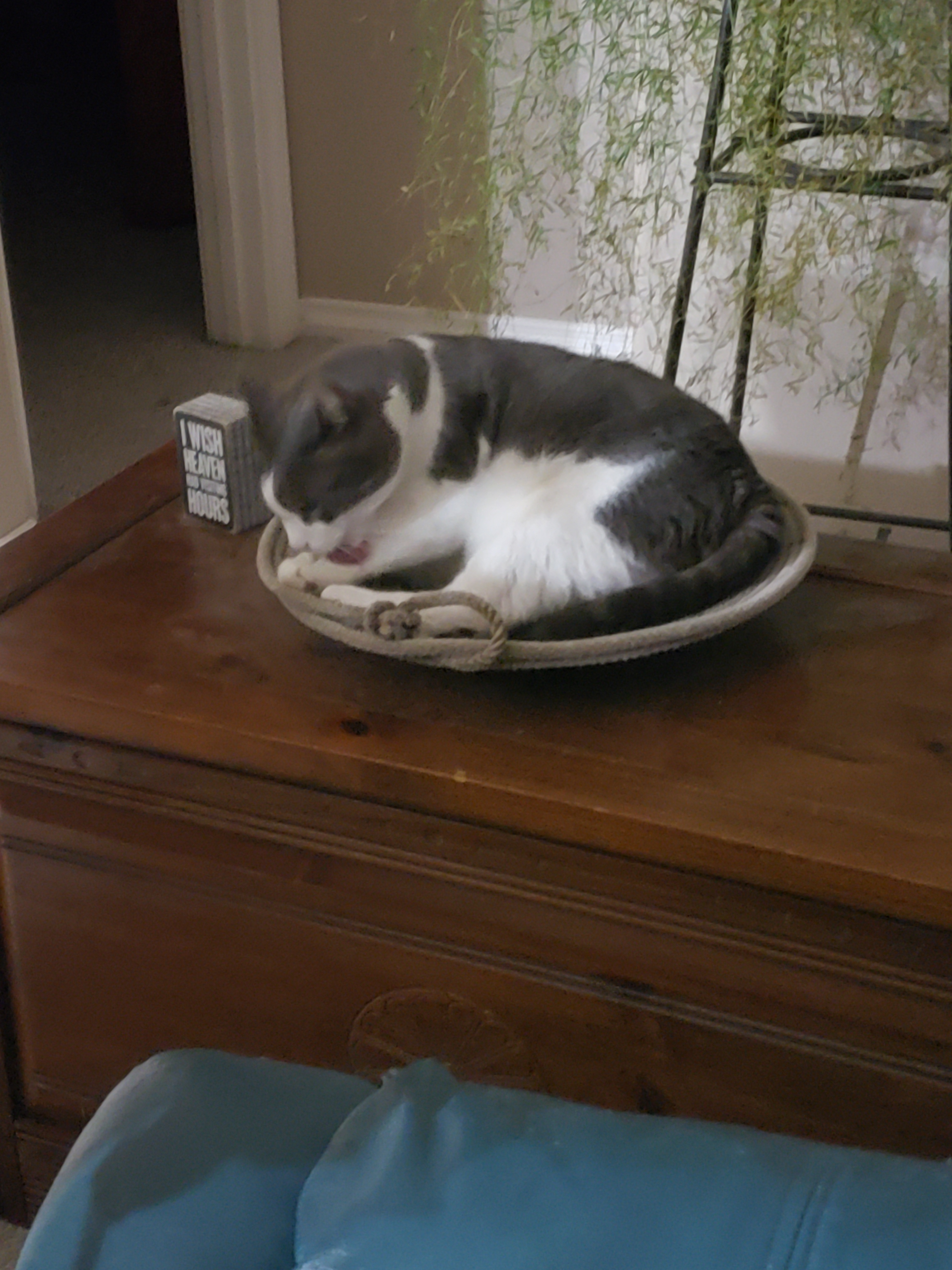 Bitterroot Farm Getaway