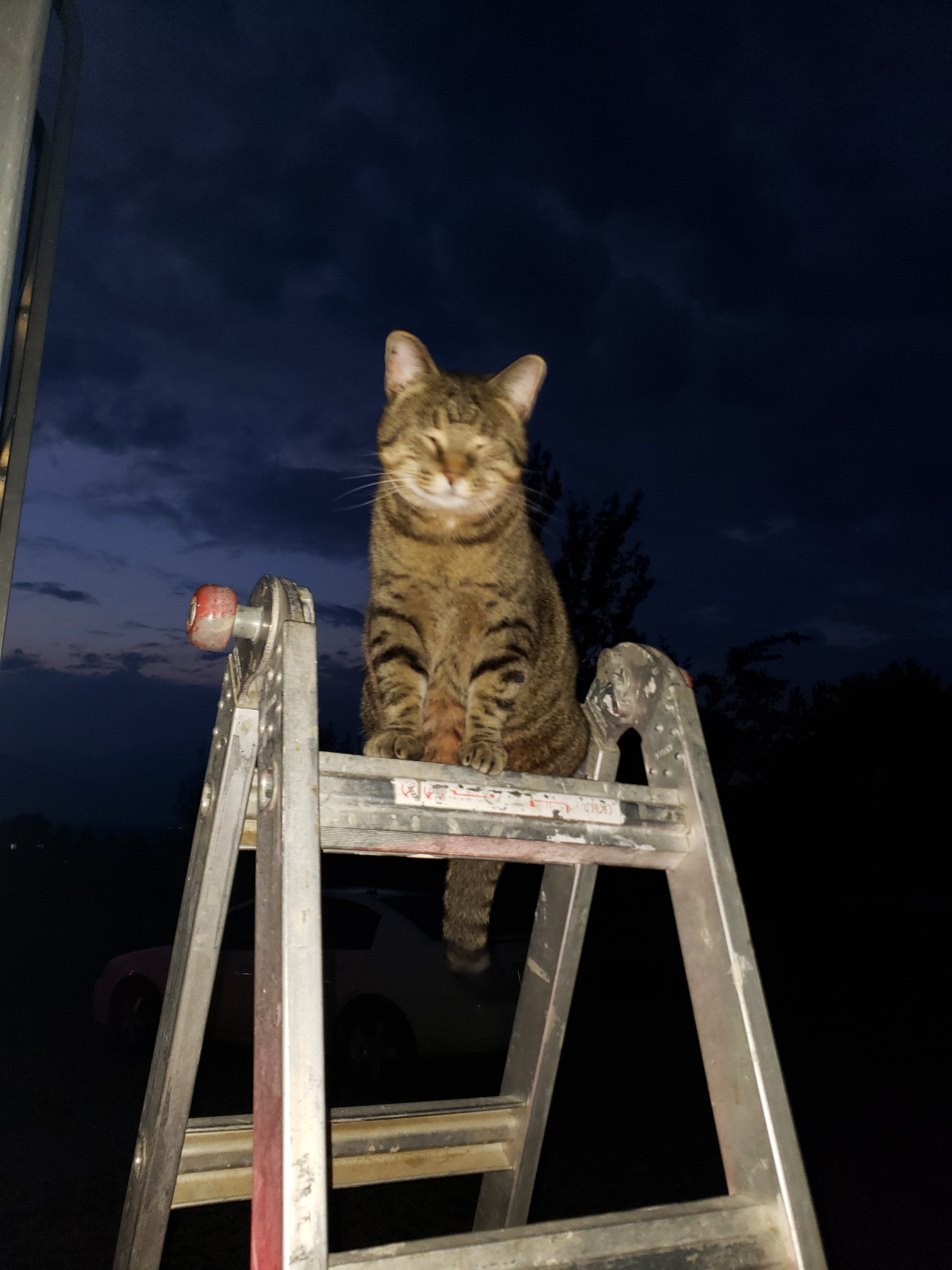 Bitterroot Farm Getaway