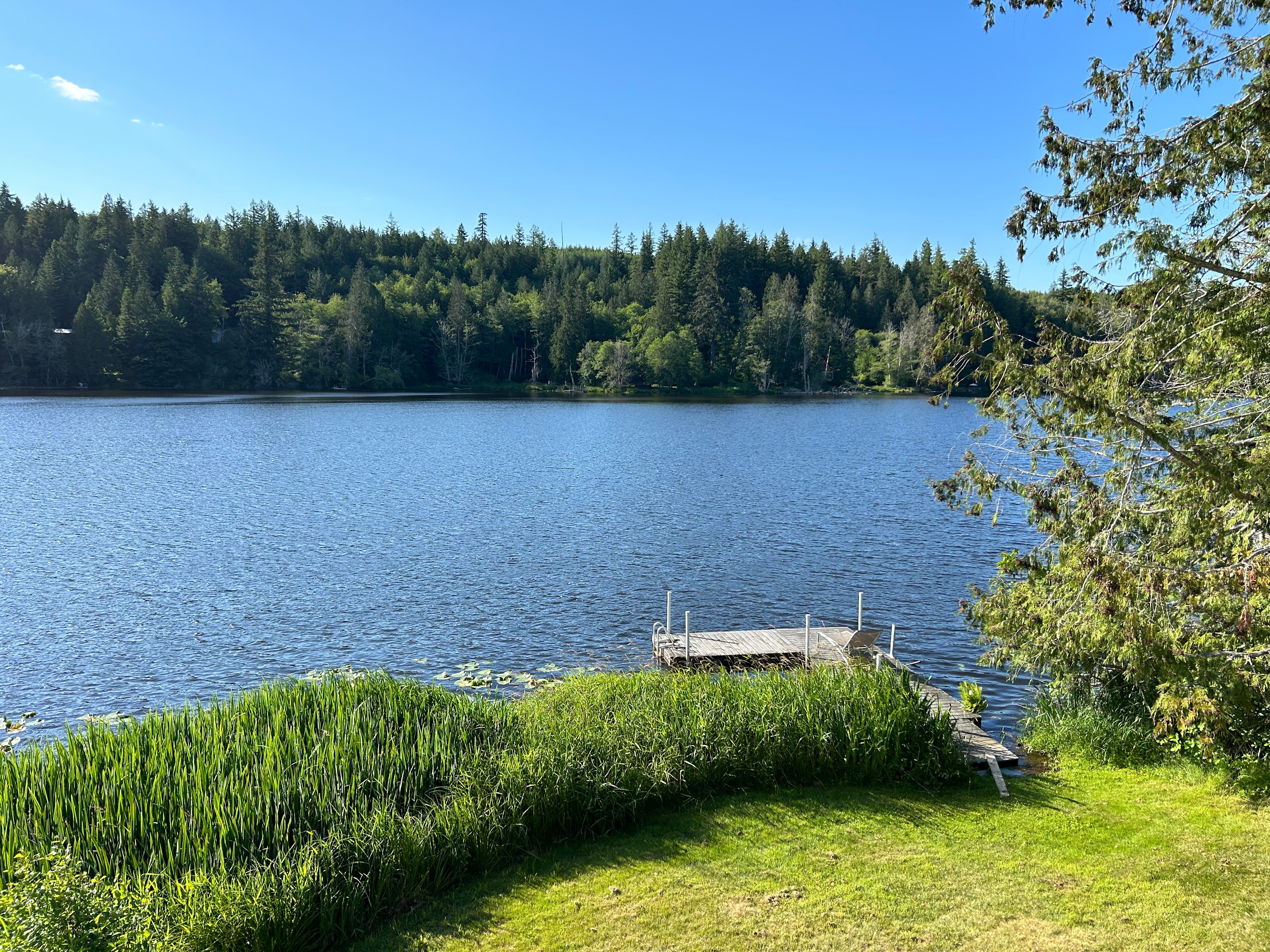 Lake Leland dock. Lake is long and narrow, about three miles around and twenty feet deep at deepest. Spring fed, so warm to swim in summer but cool. 