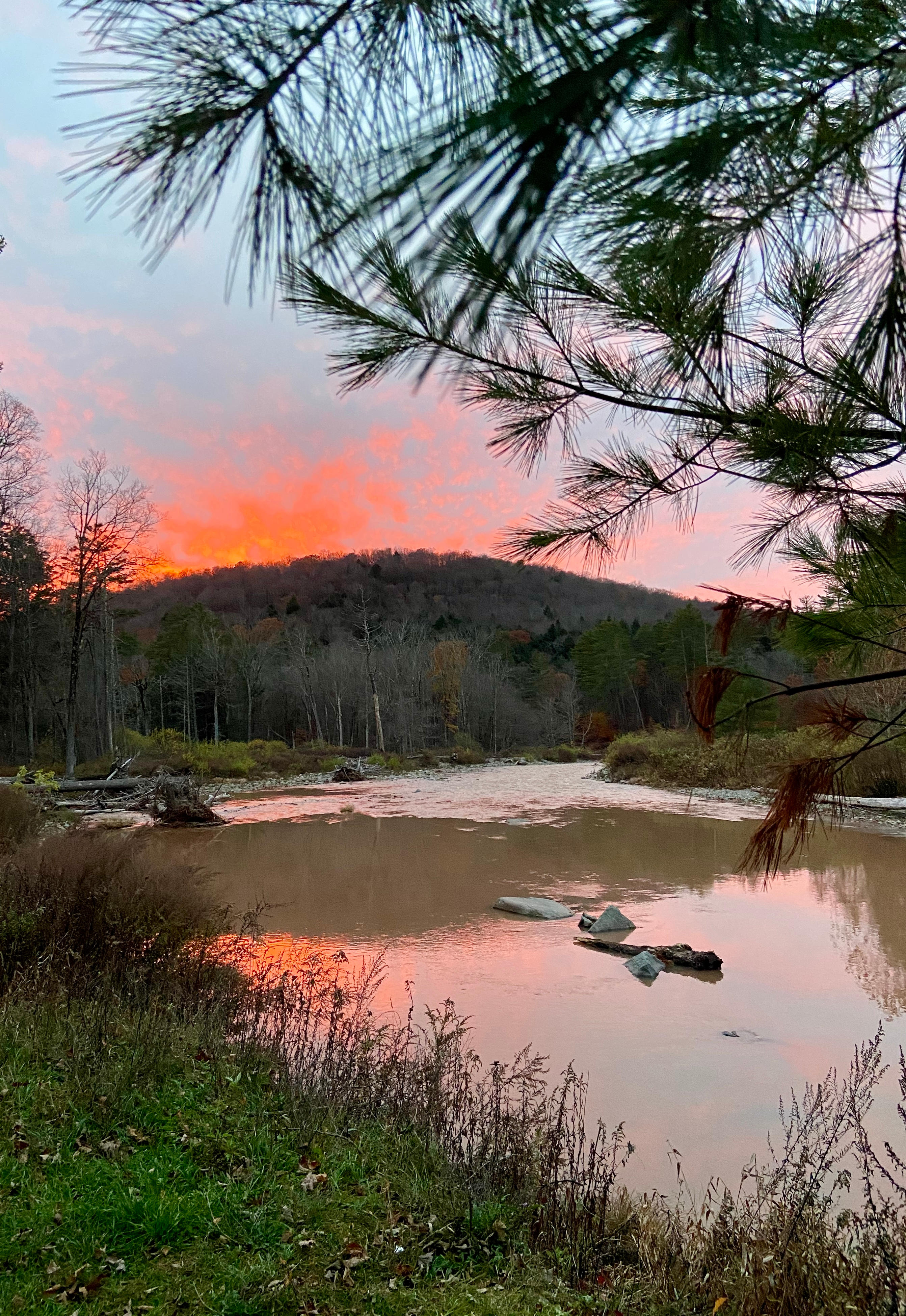 Sunrise Meadow Catskills
