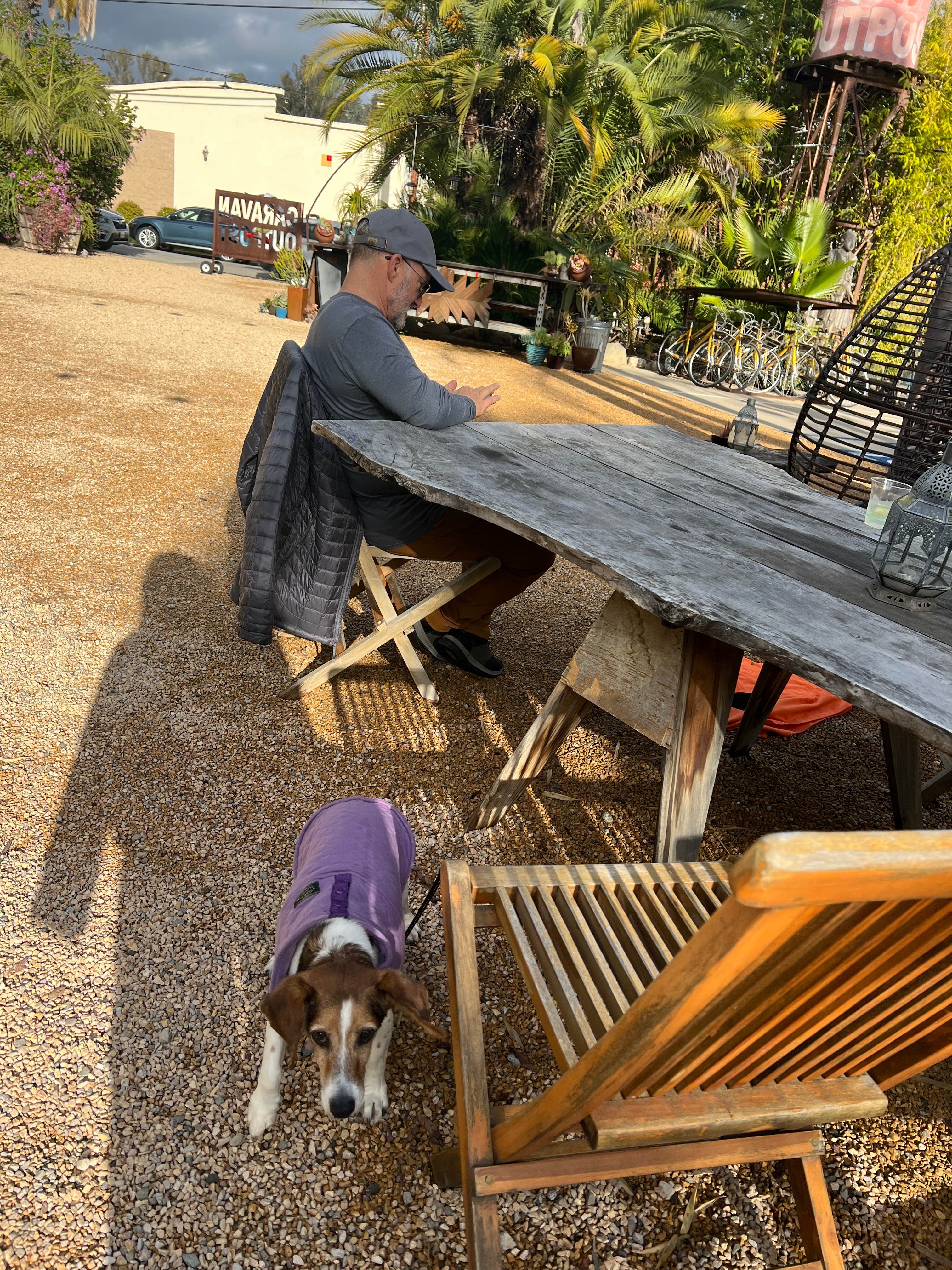 Caravan Outpost - Ojai Oasis!