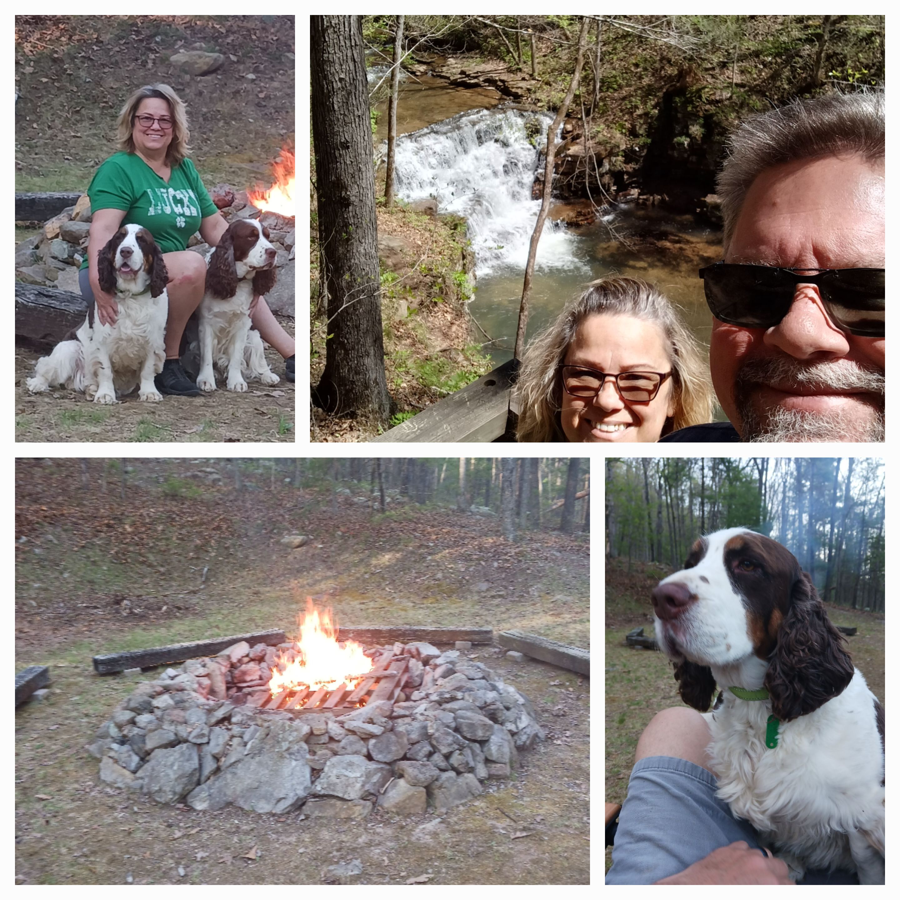 The Meadow At Stone Soup