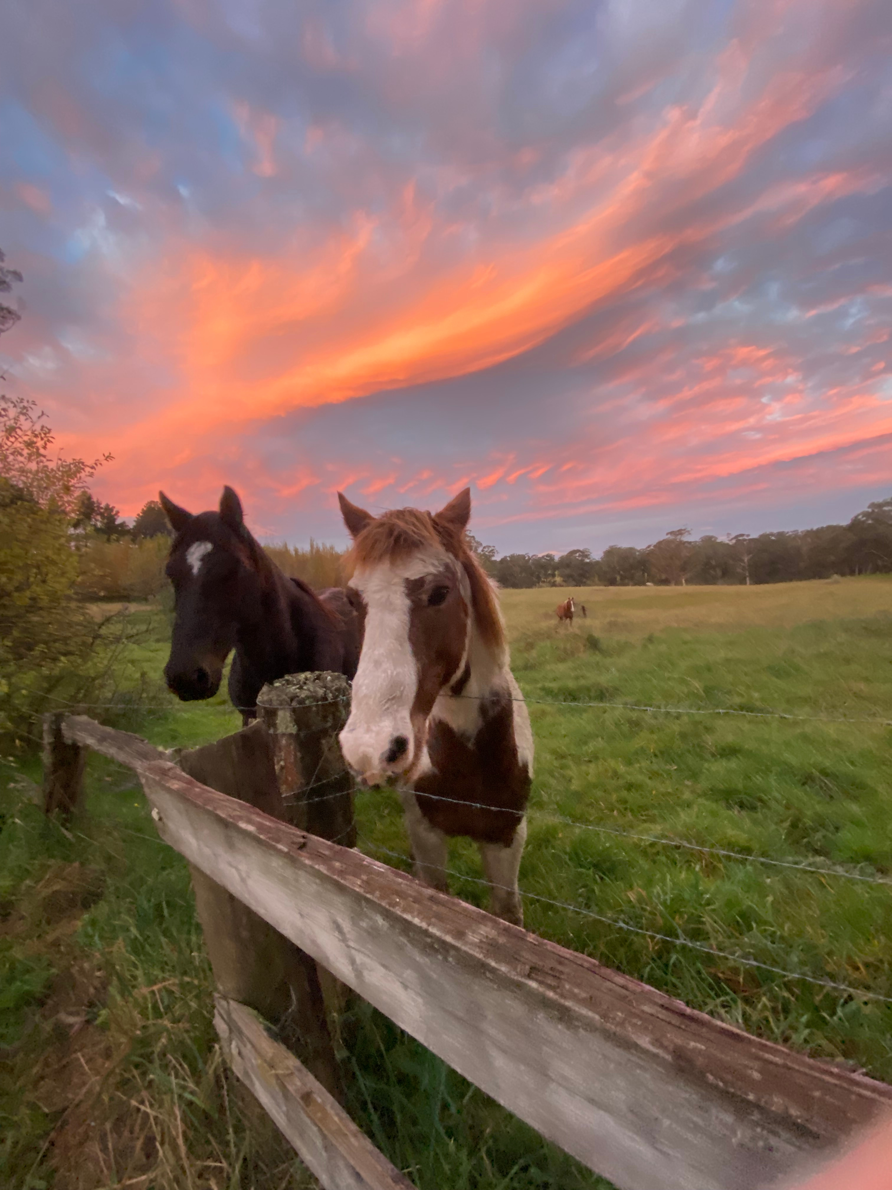 Hidden Brook Southern Highlands NSW