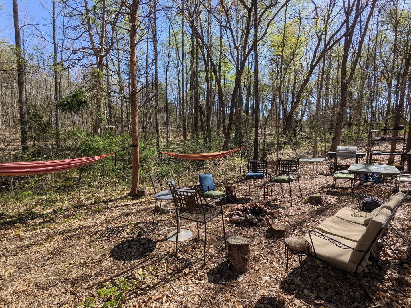 Phantom Hill Forest Retreats