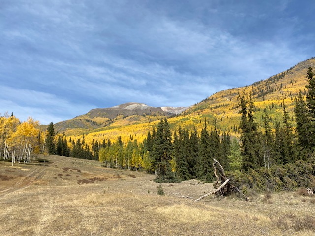 Darbywoods RV Mountain Lot