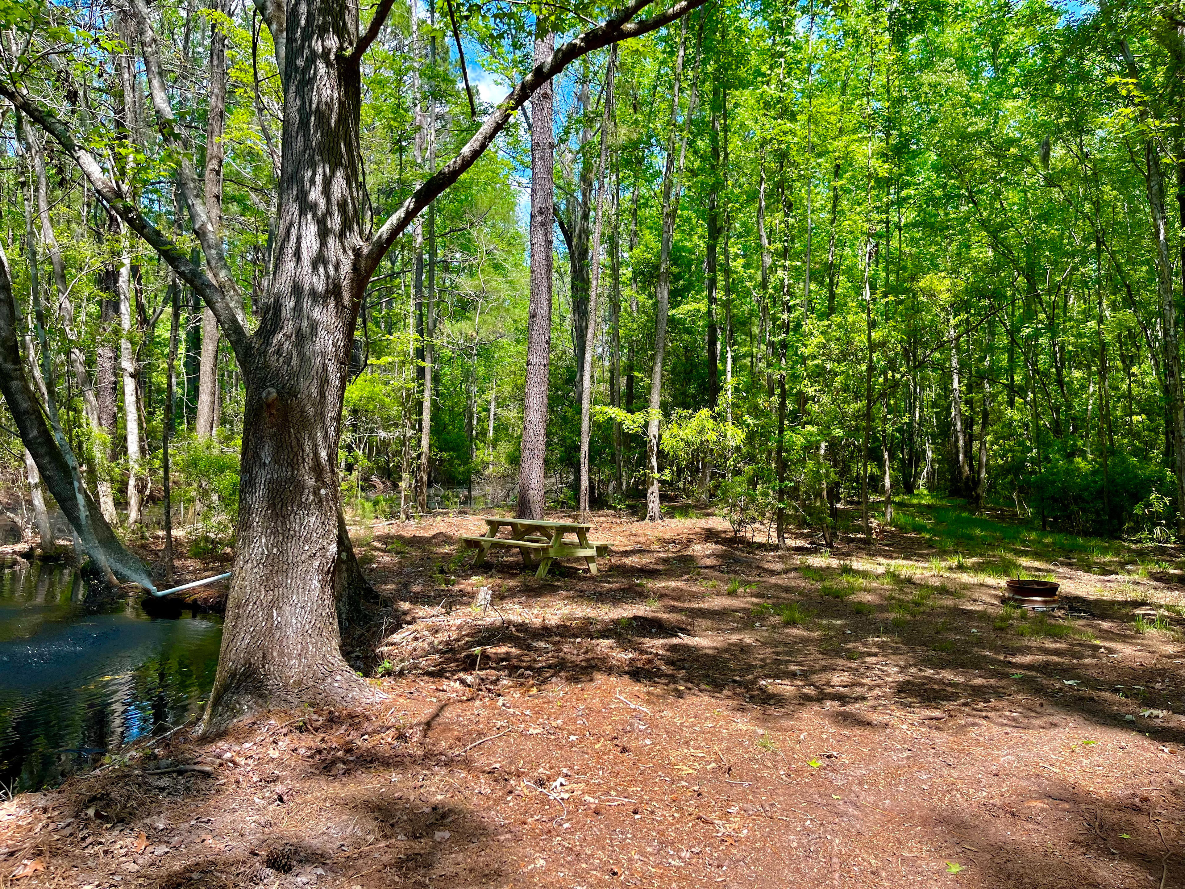 Plenty of room to pitch a tent or two