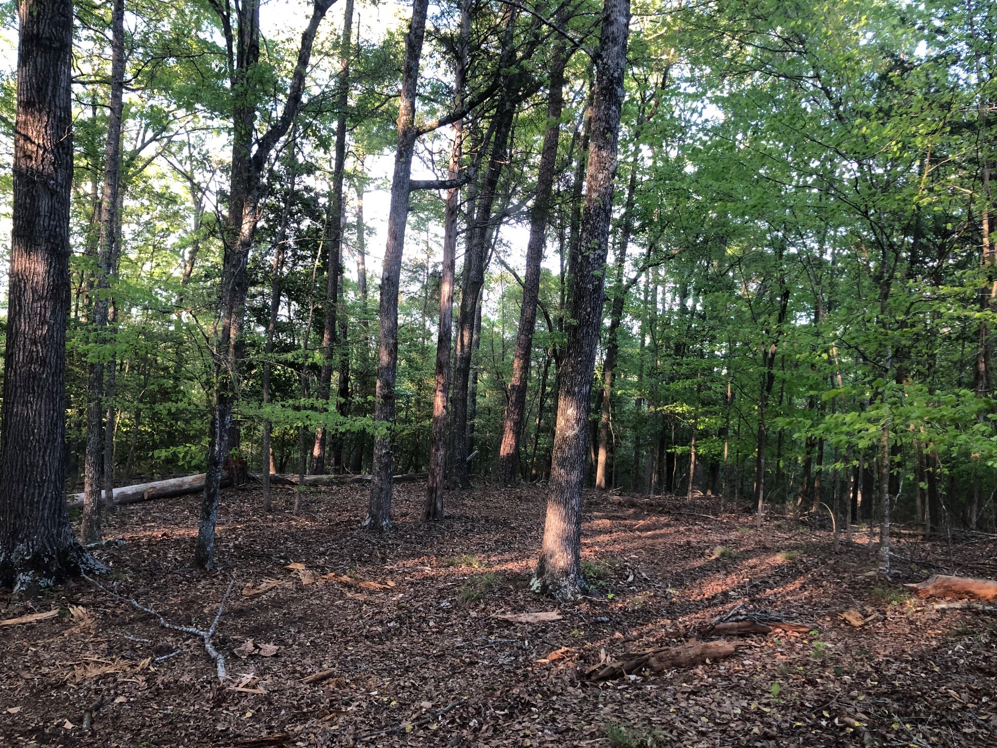 Serenity on the Saluda