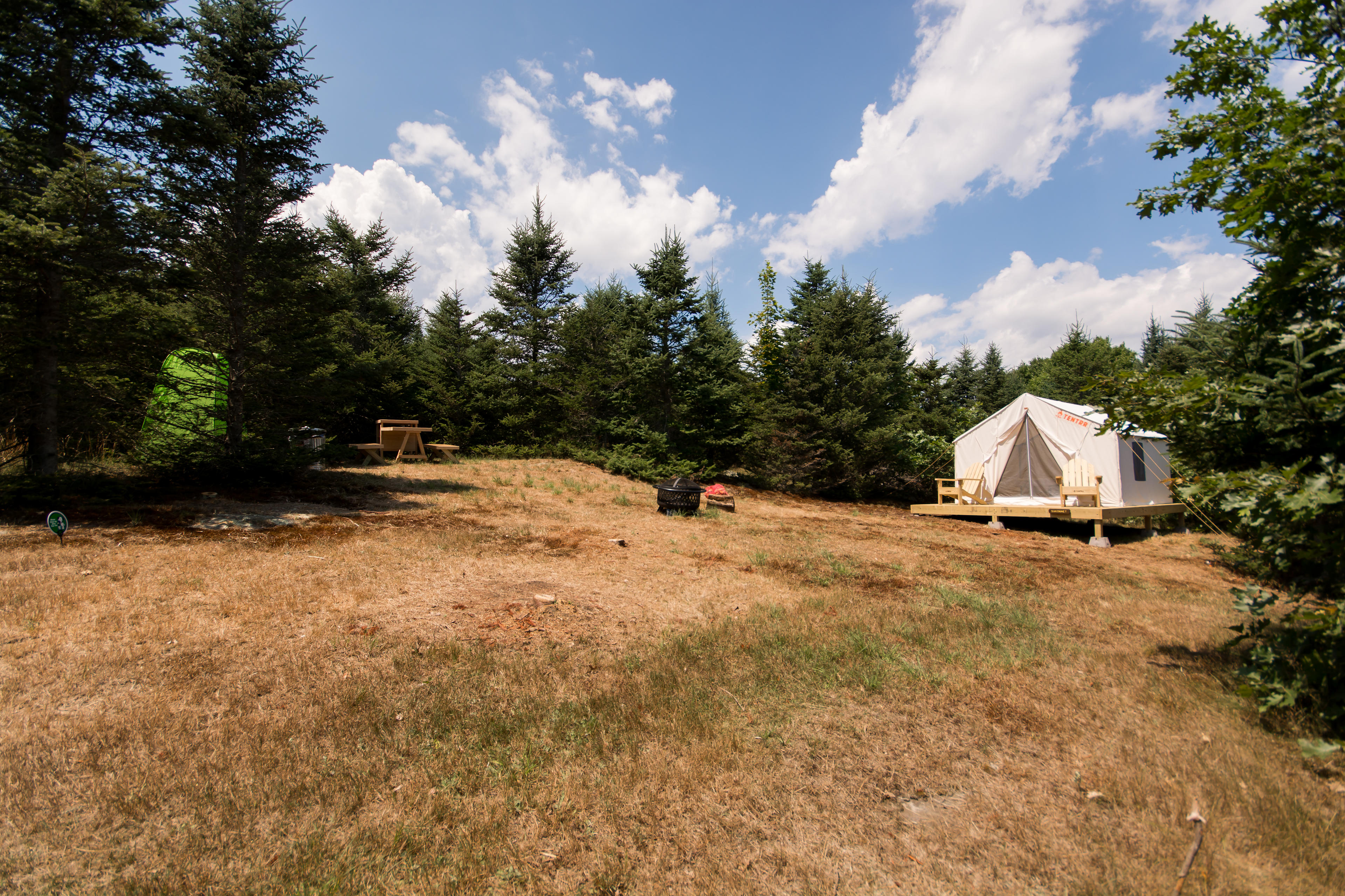 Hilltop Tree Farm by Sakonnet River