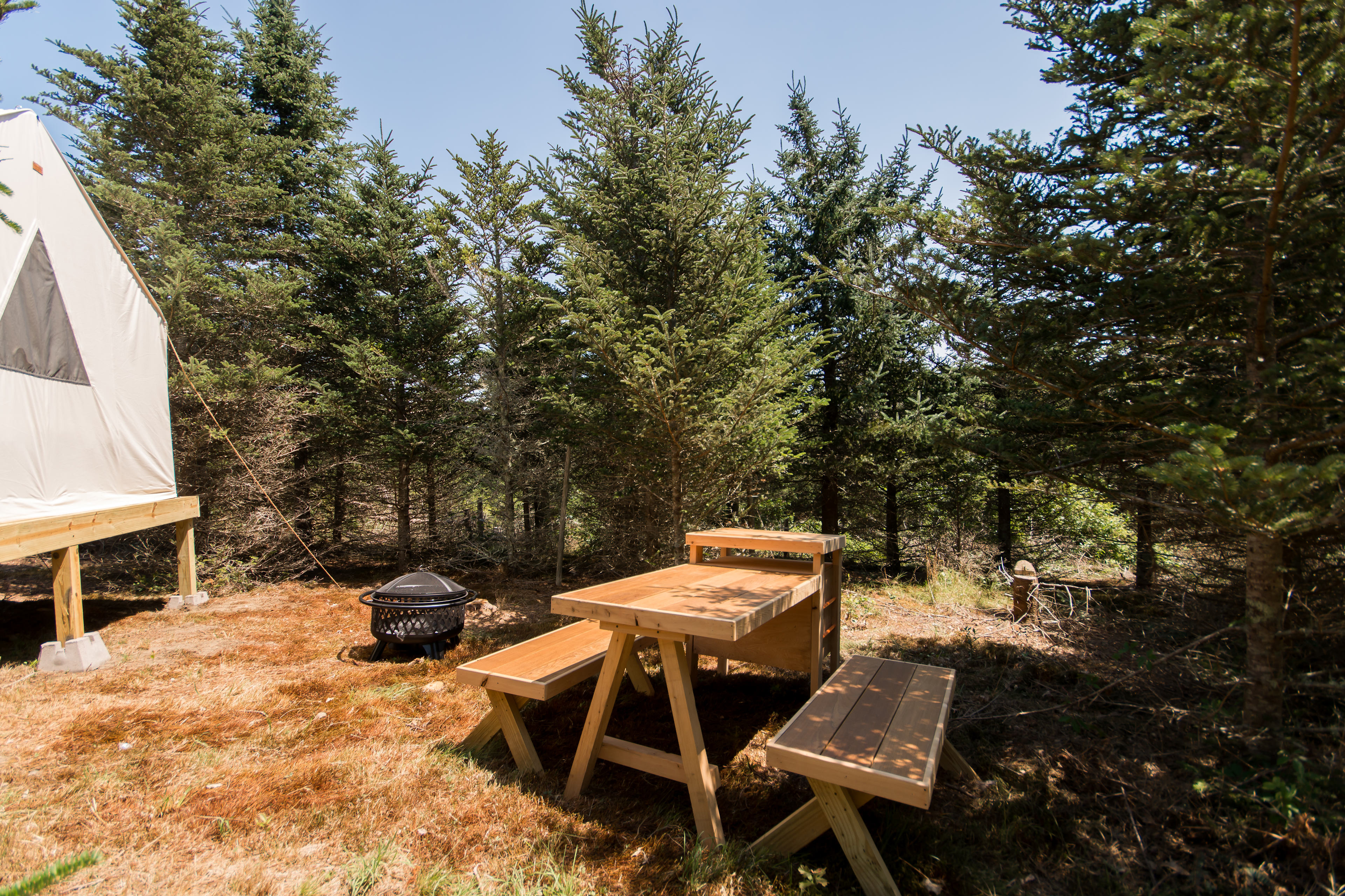 Hilltop Tree Farm by Sakonnet River