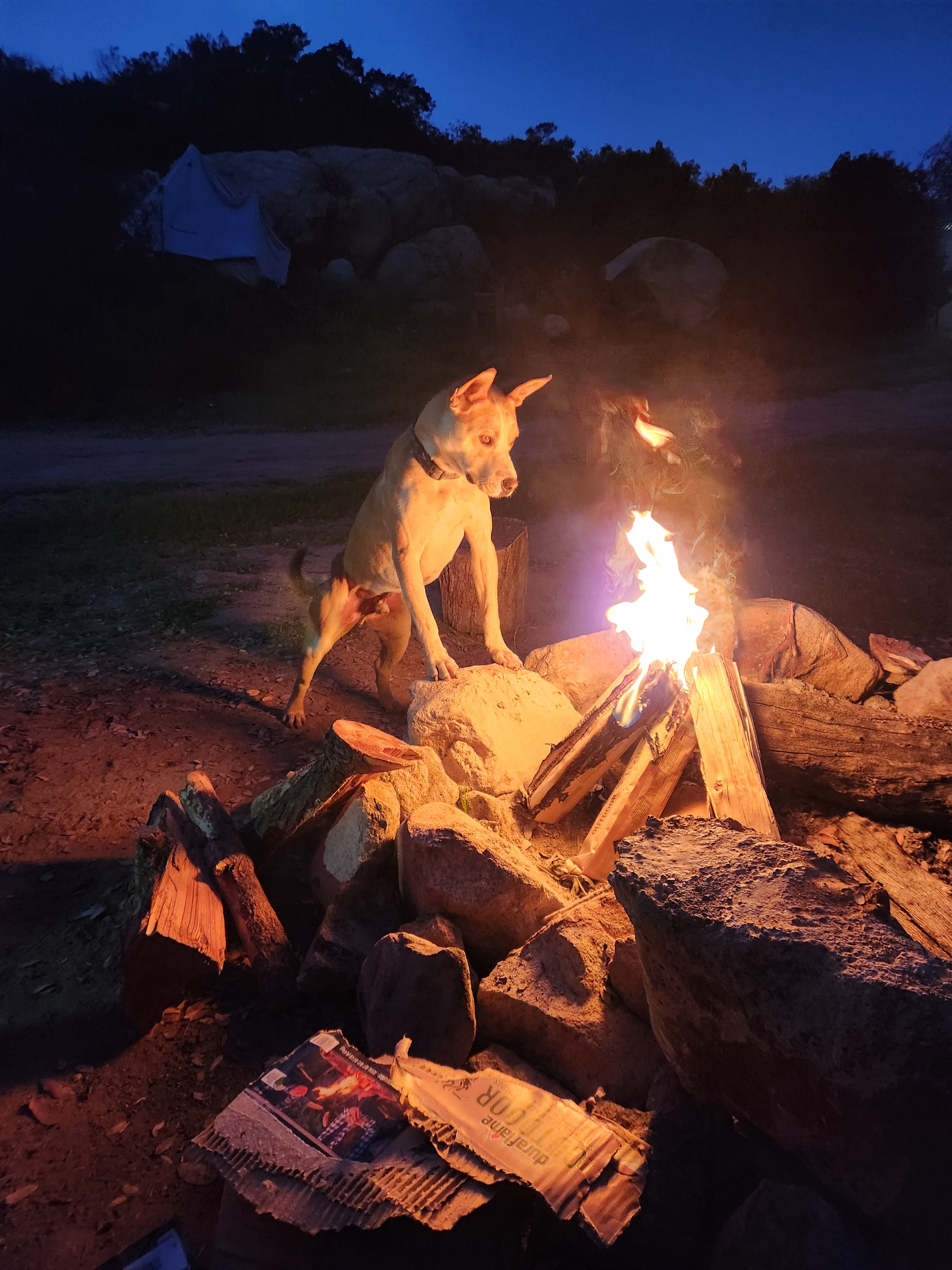 GoodVibes Ranch Disc Golf & Camping