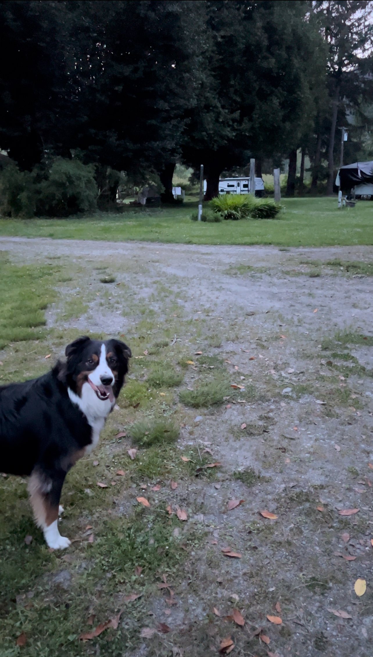 Terwer RV Park