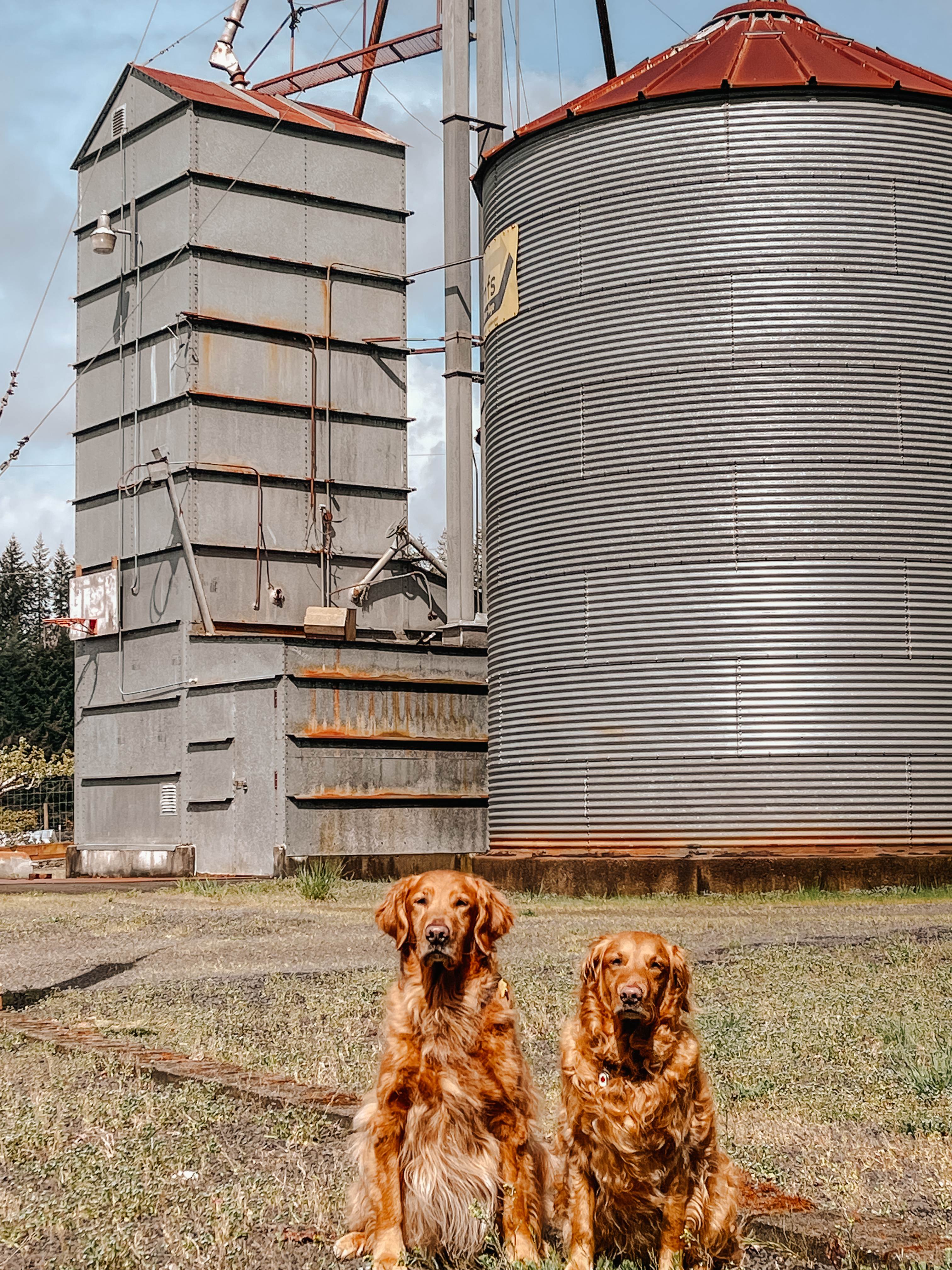 Hillside Vista RV / Creekside Camp