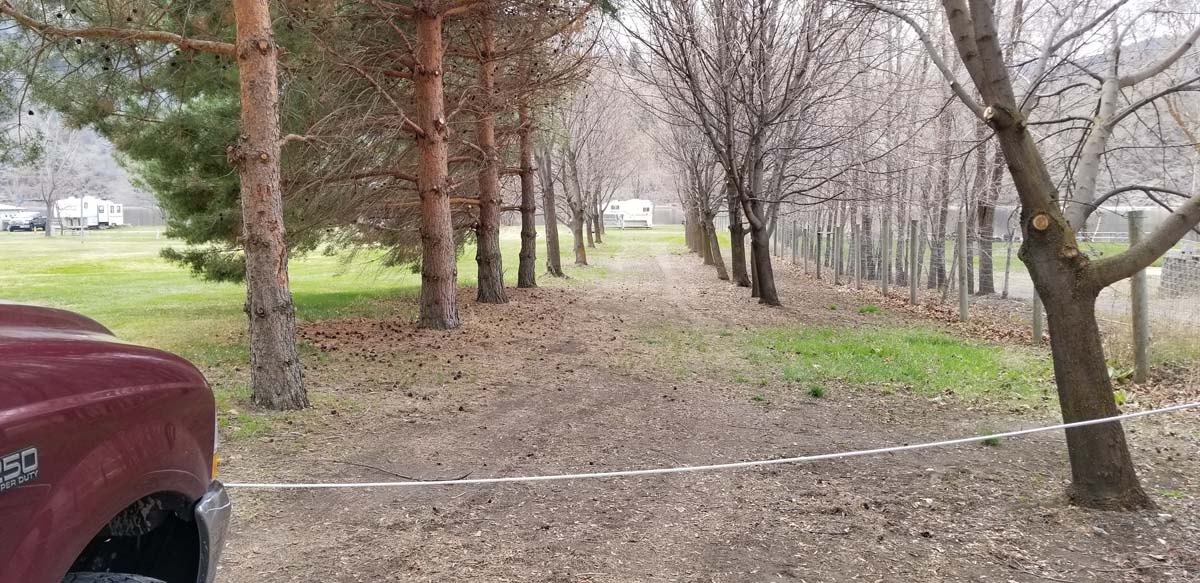 Tree lined driveway access, late fall.