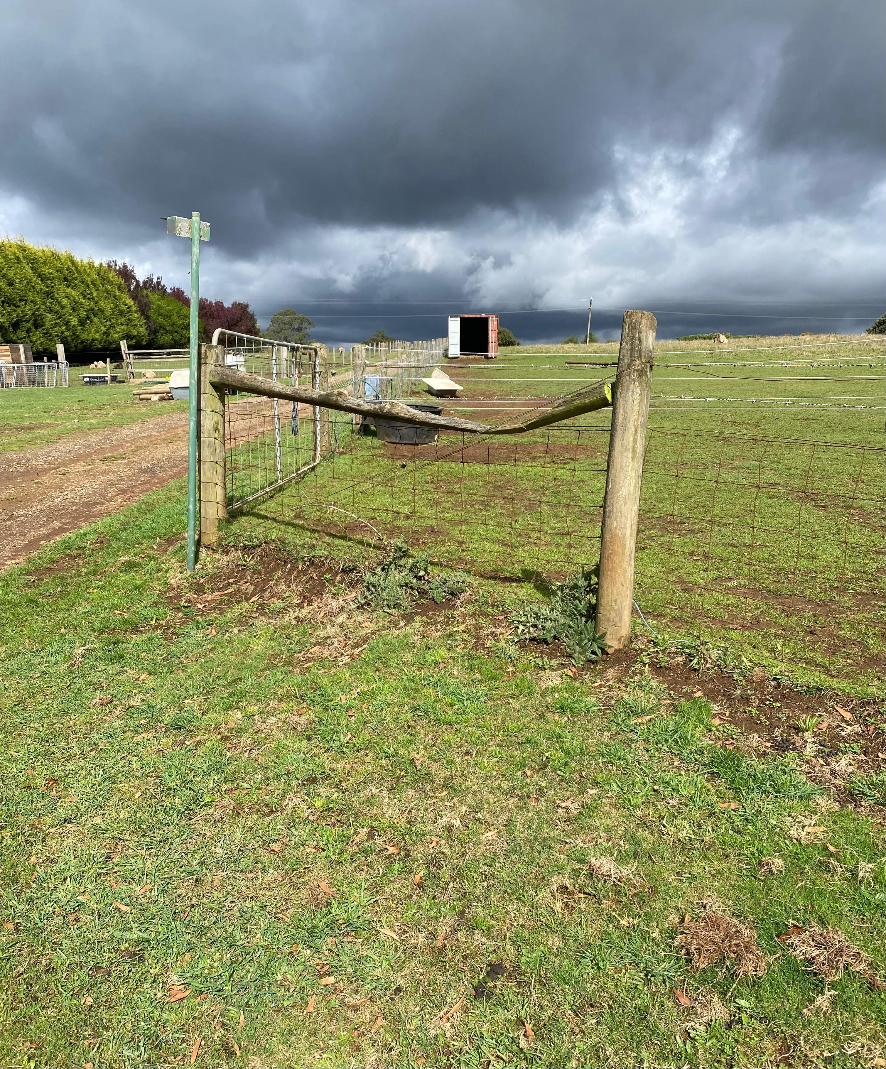 Triple R’s Rescue Farm