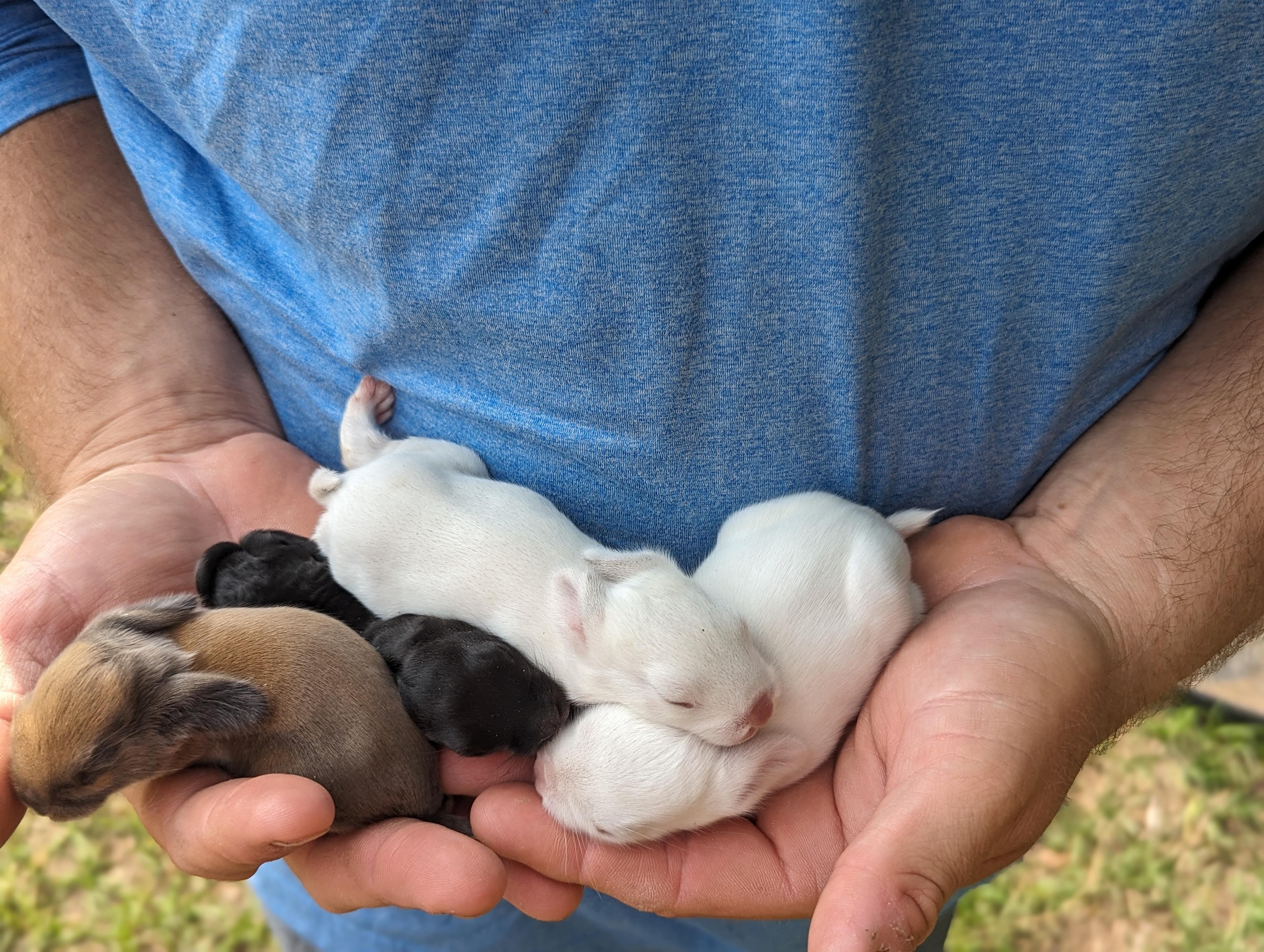 Piney Hills Campground