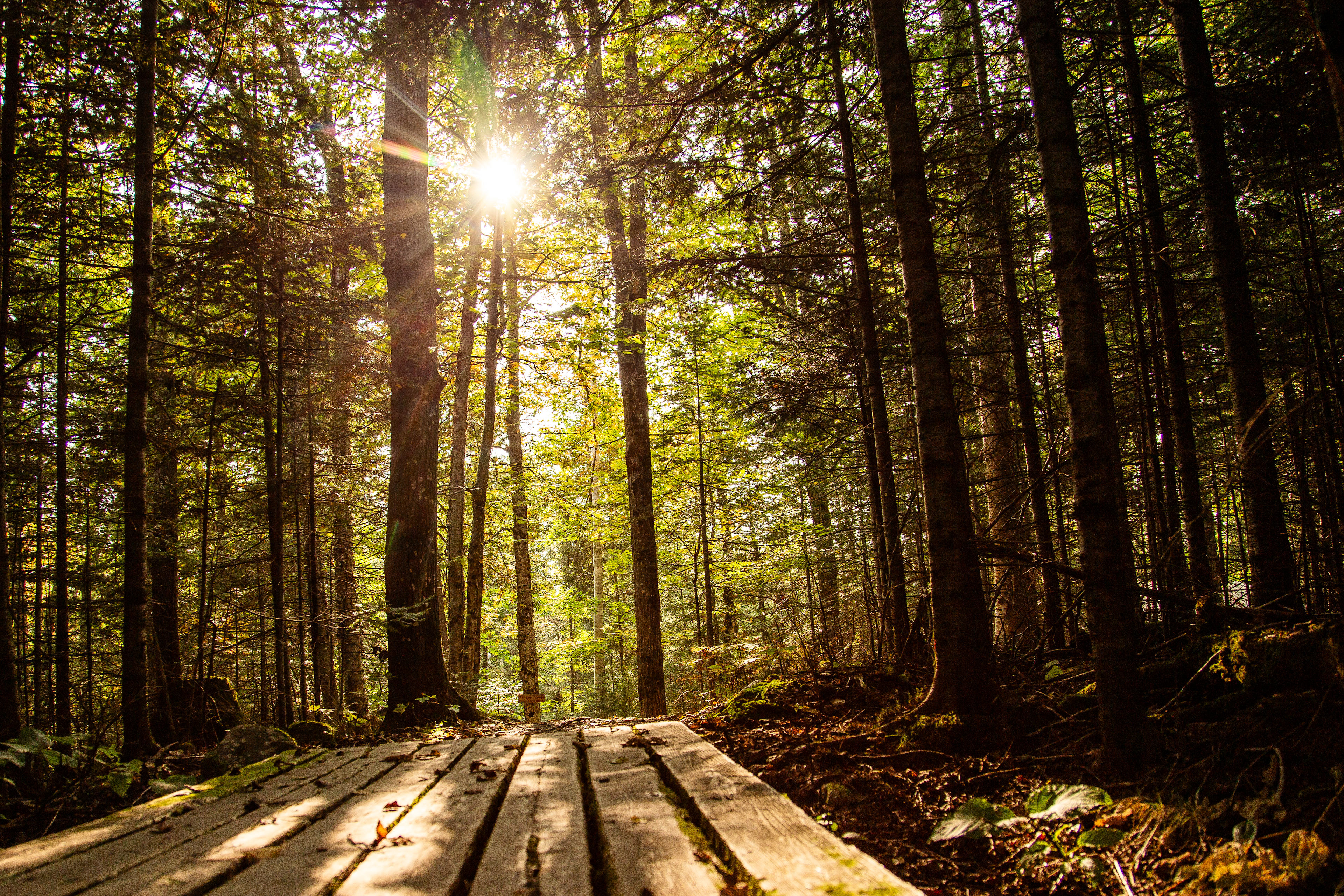 Aux Cinq Sens Nature Retreat