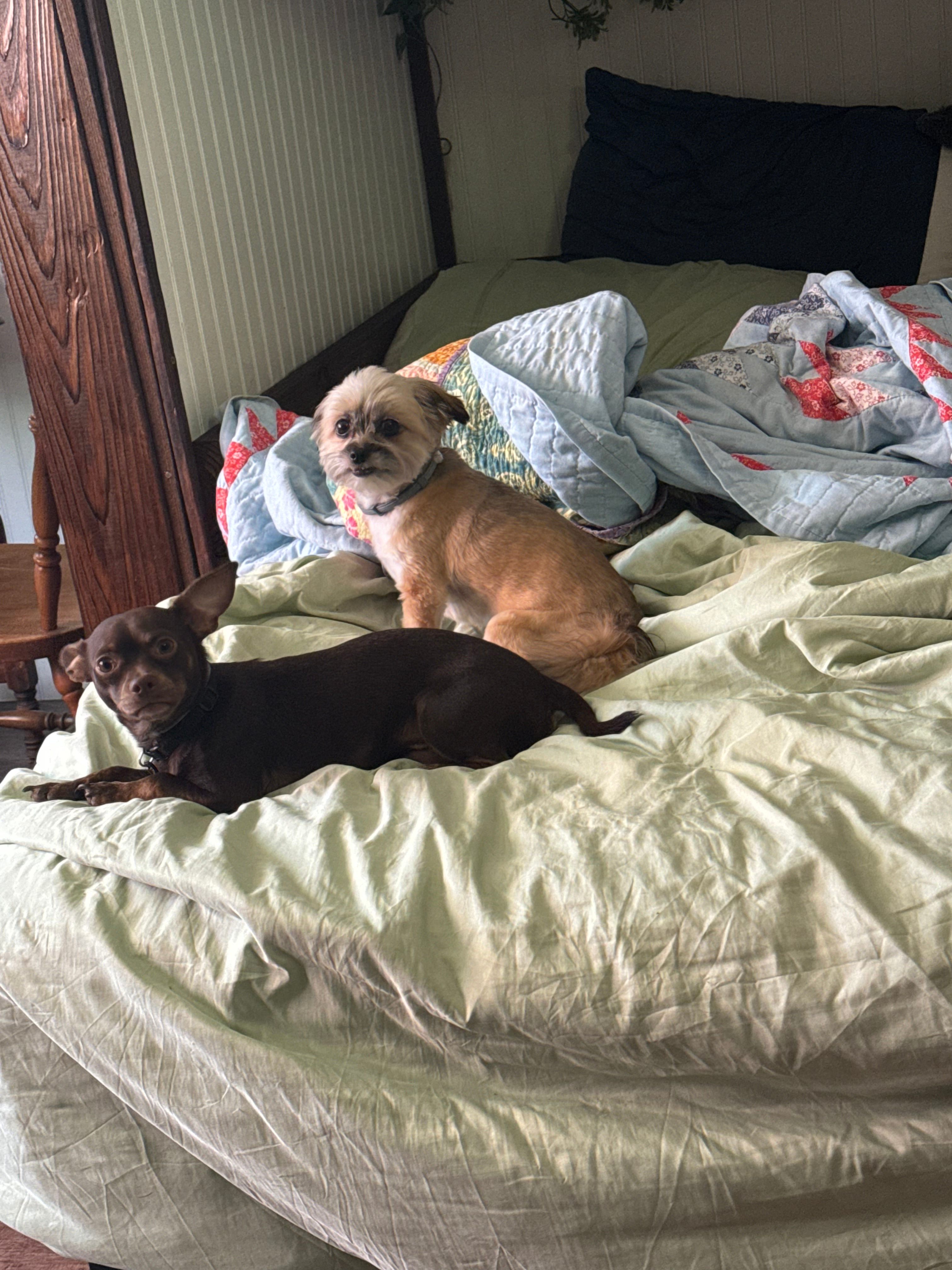 Halfassery Farm’s Sweet Suite