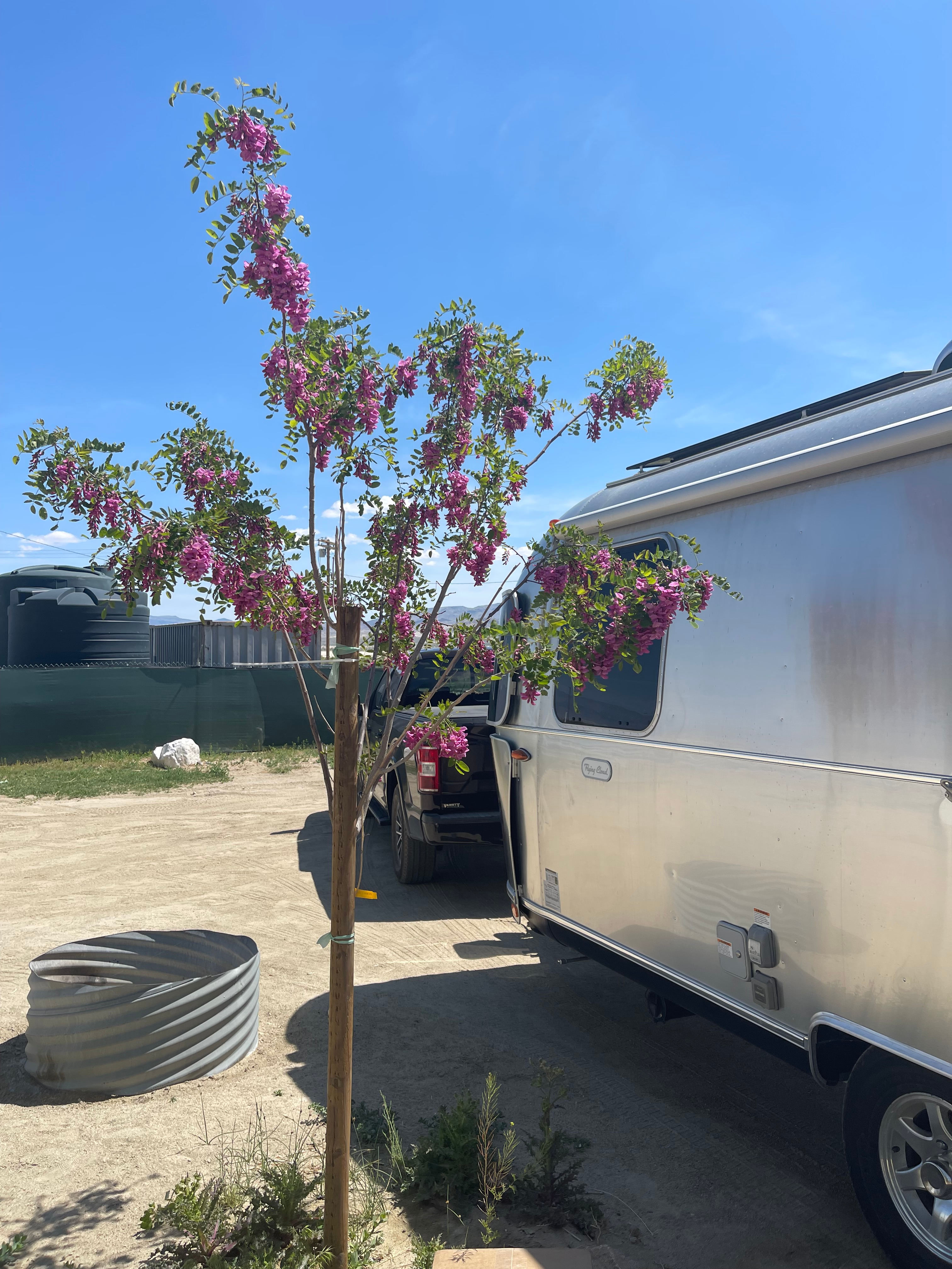 Lake Olancha RV Park Campground