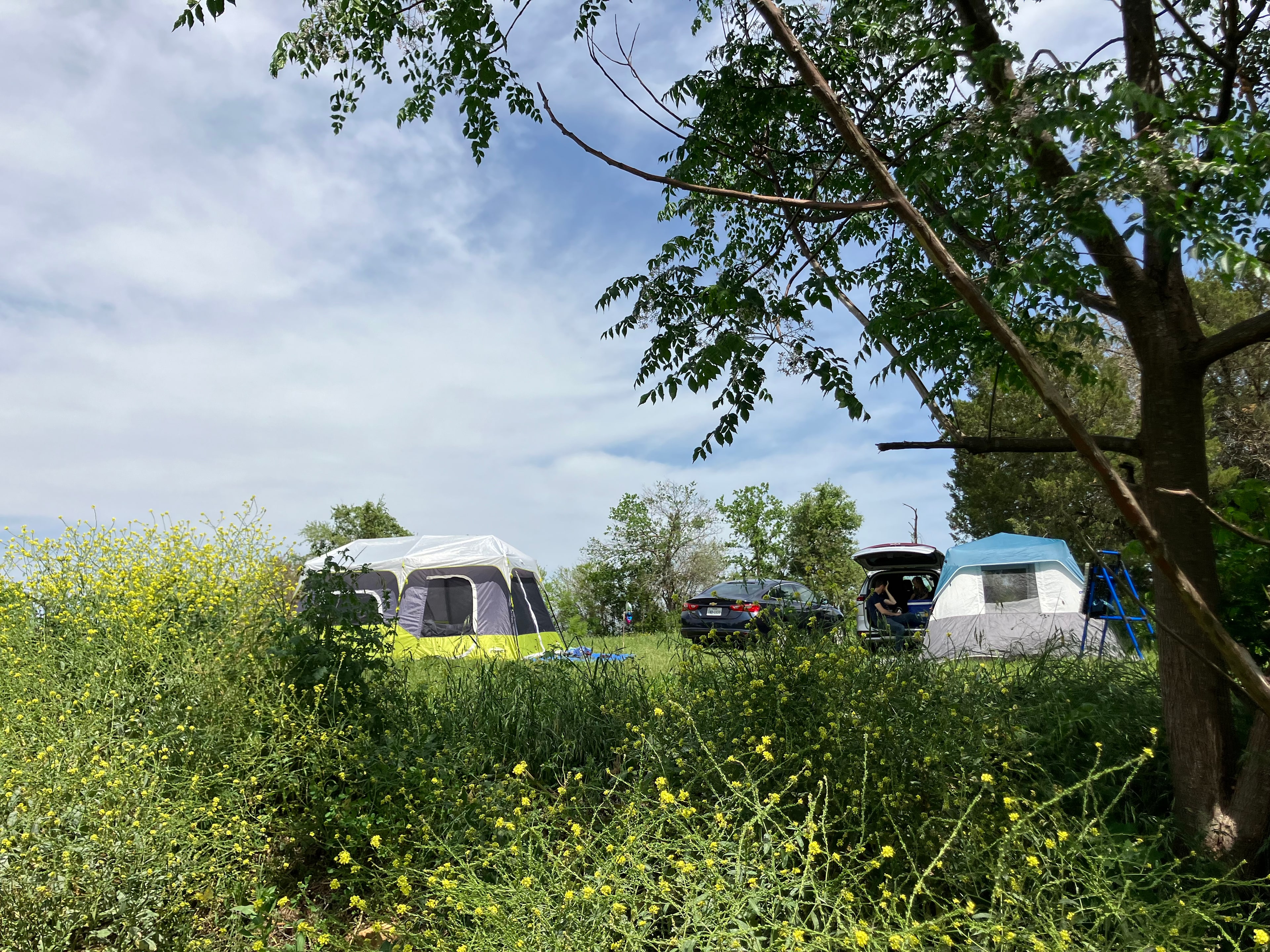 McDonald Farm on the River