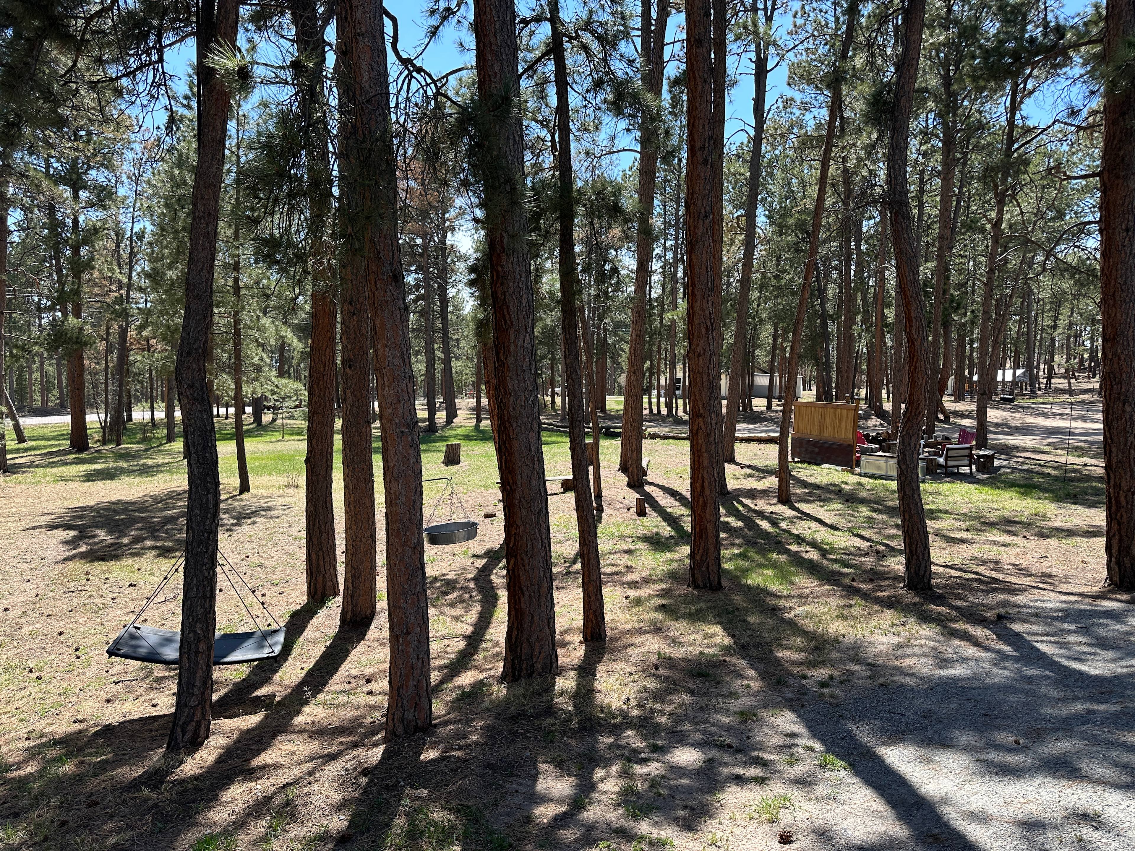 We hope you enjoy the towering Ponderosa Pines as much as we do!!!