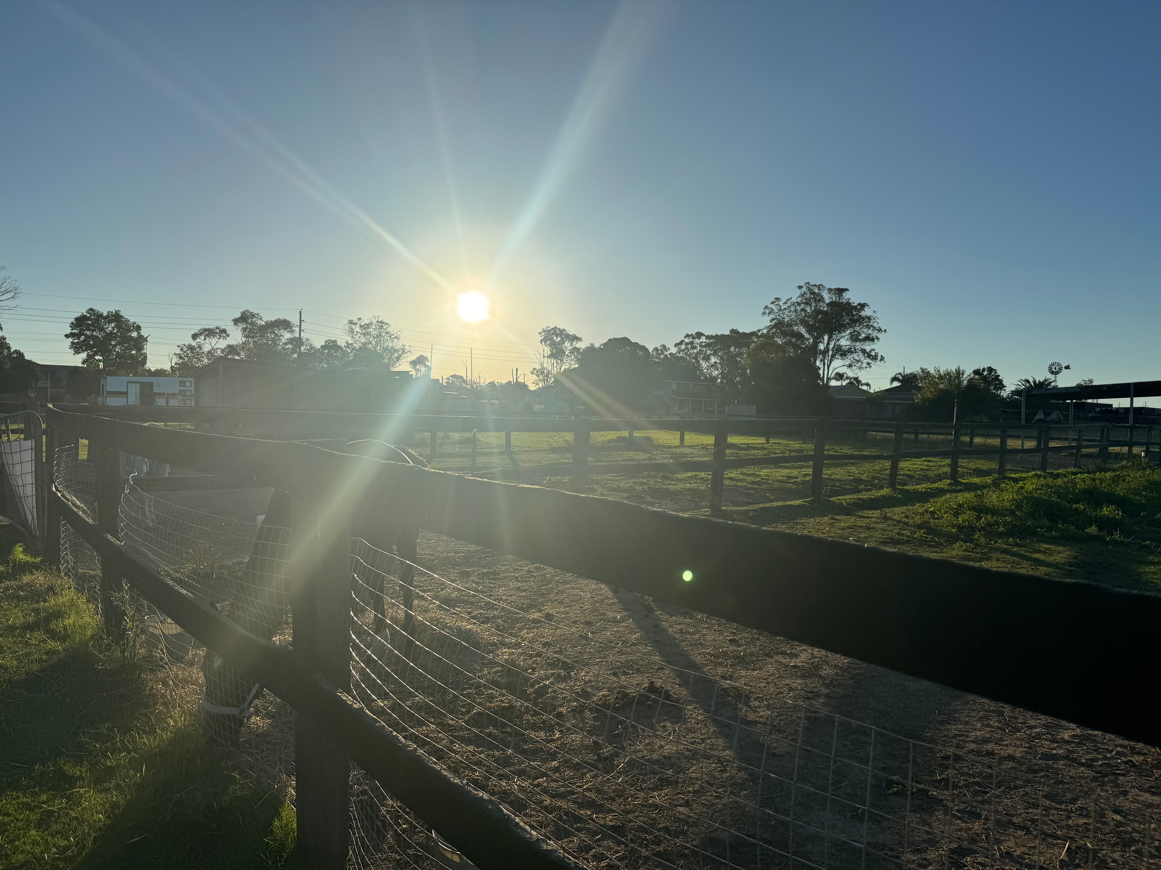 Peppertree Pony Camp