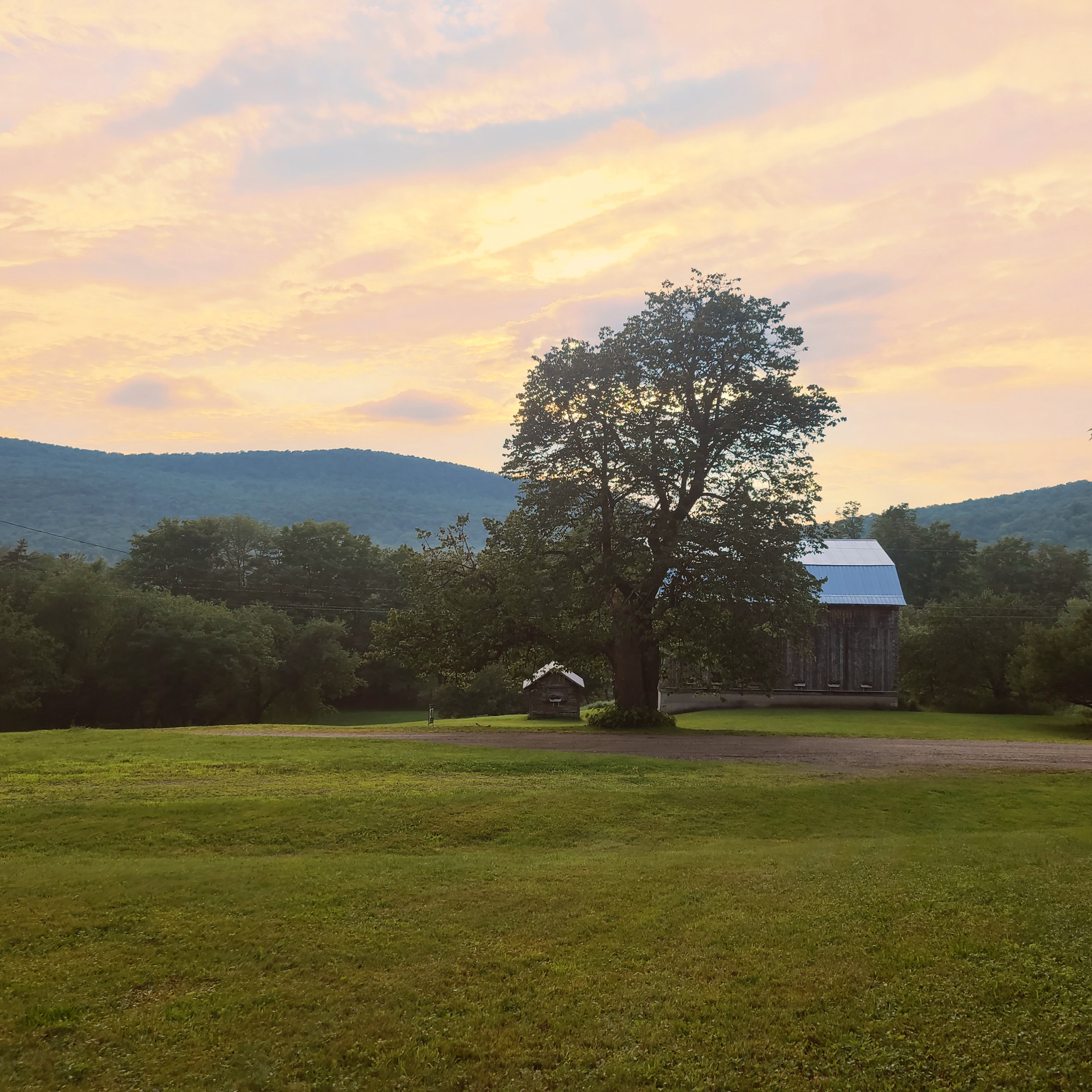 Golden Maple Farm - Camping