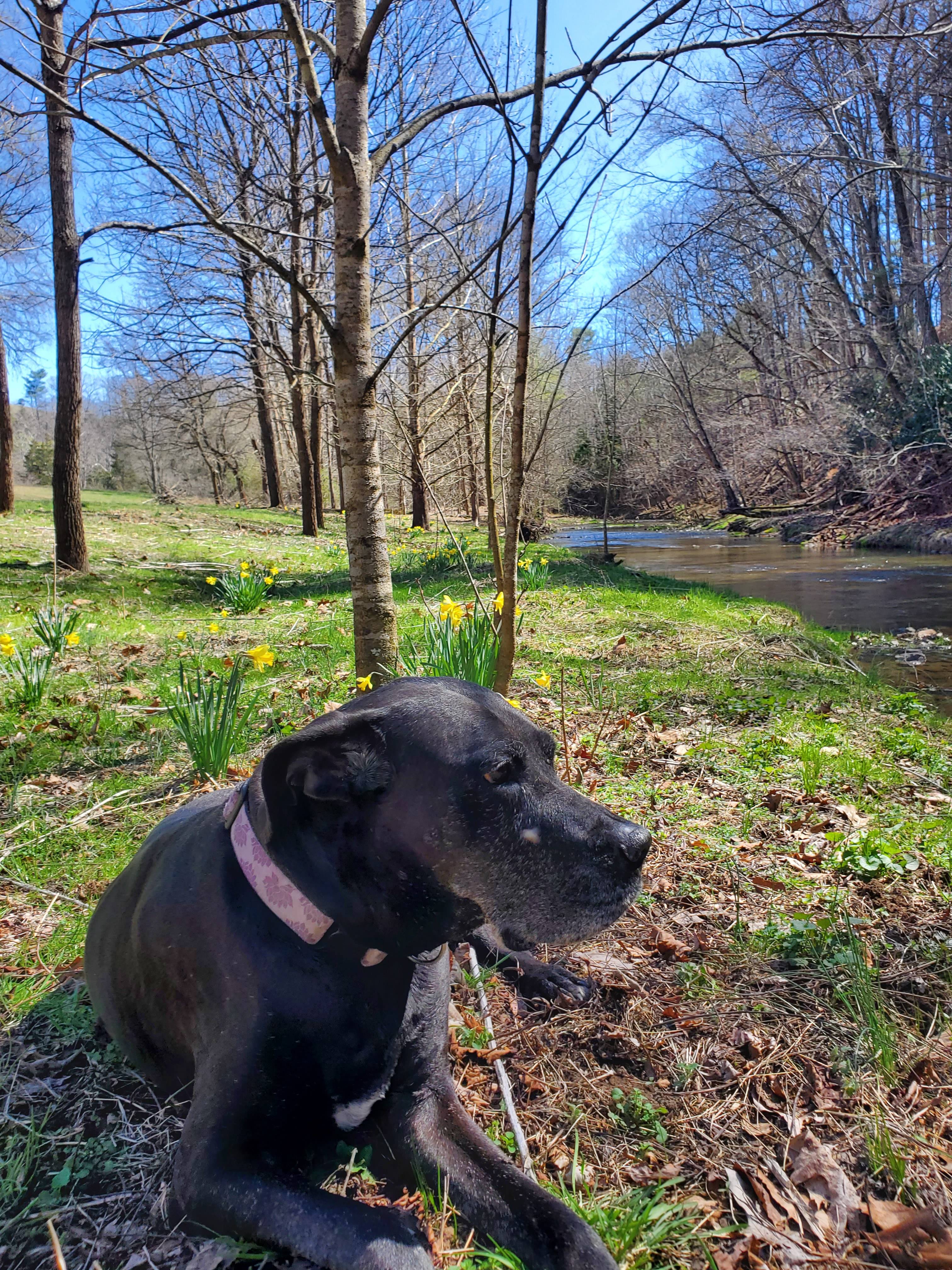 Dry Valley Camping Spot