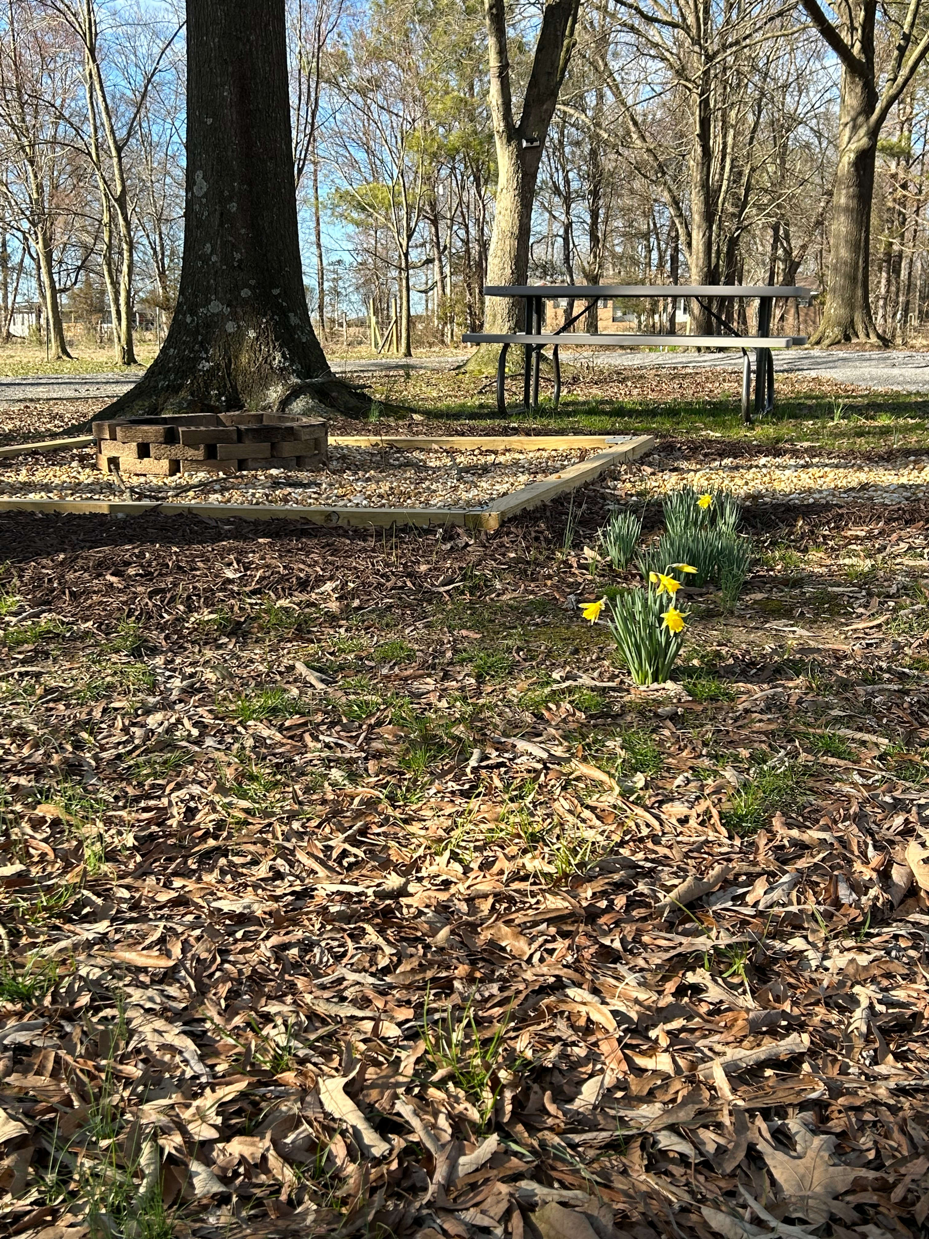 Oak Hill RV in Southeast TN