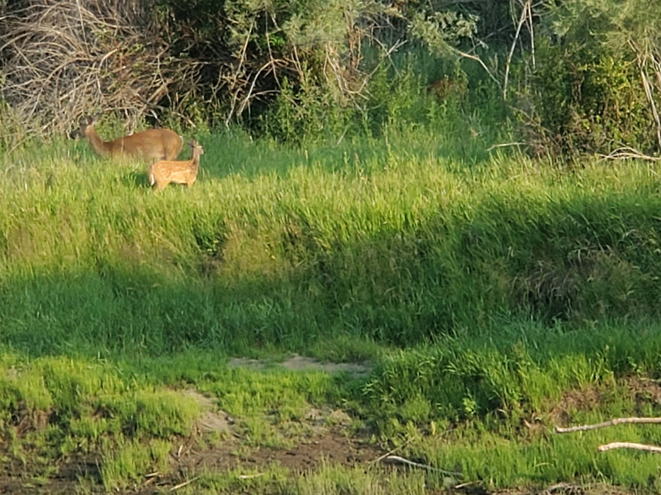 7 Point Guest Ranch